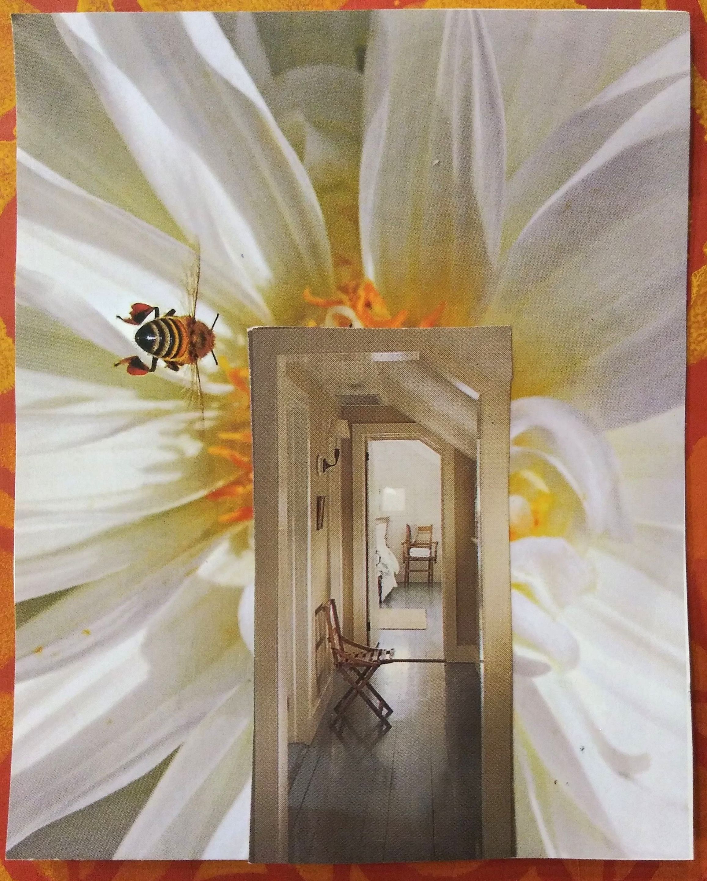 bee.jpg