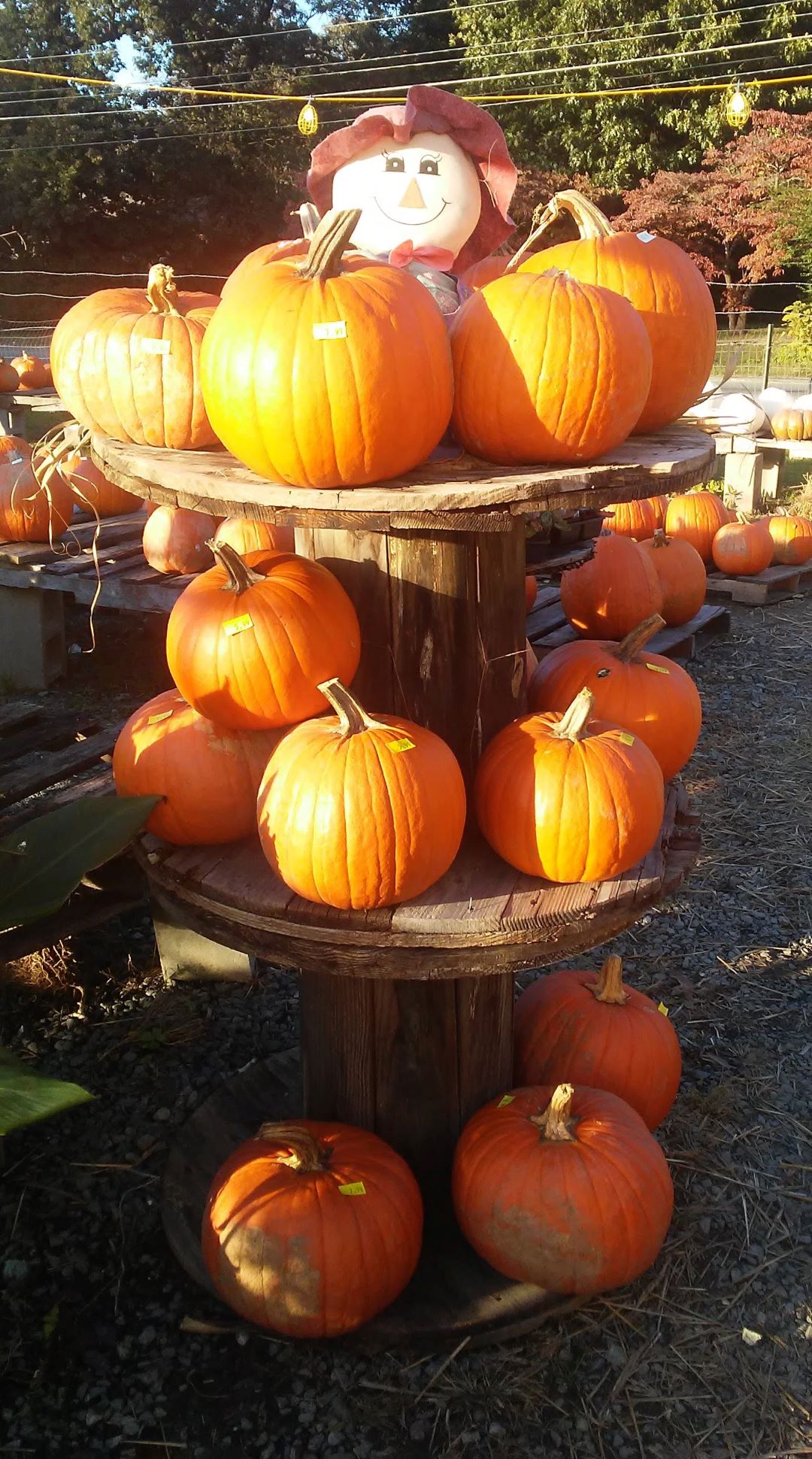 20181023_174344.jpg