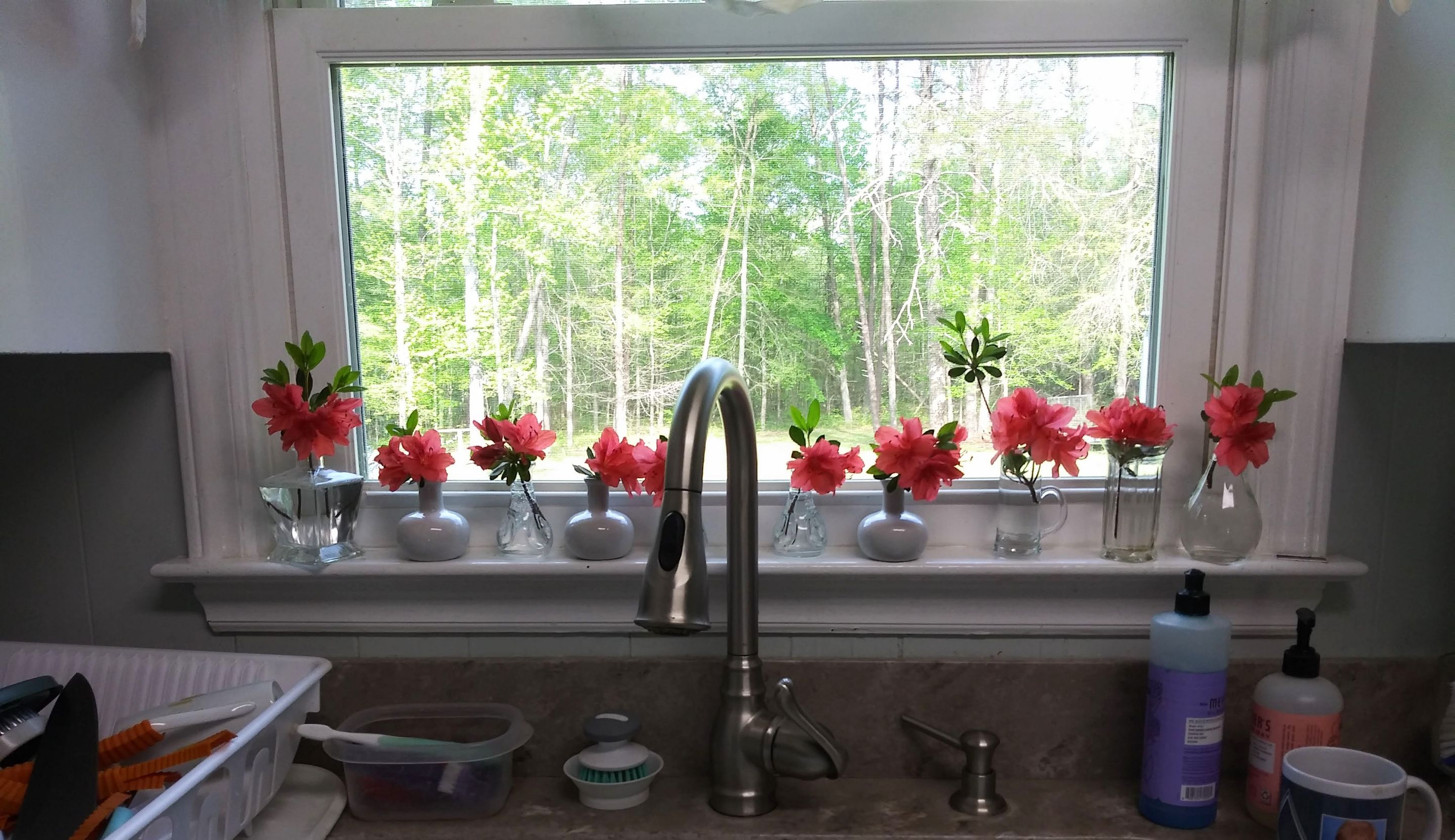 window flowers.jpg