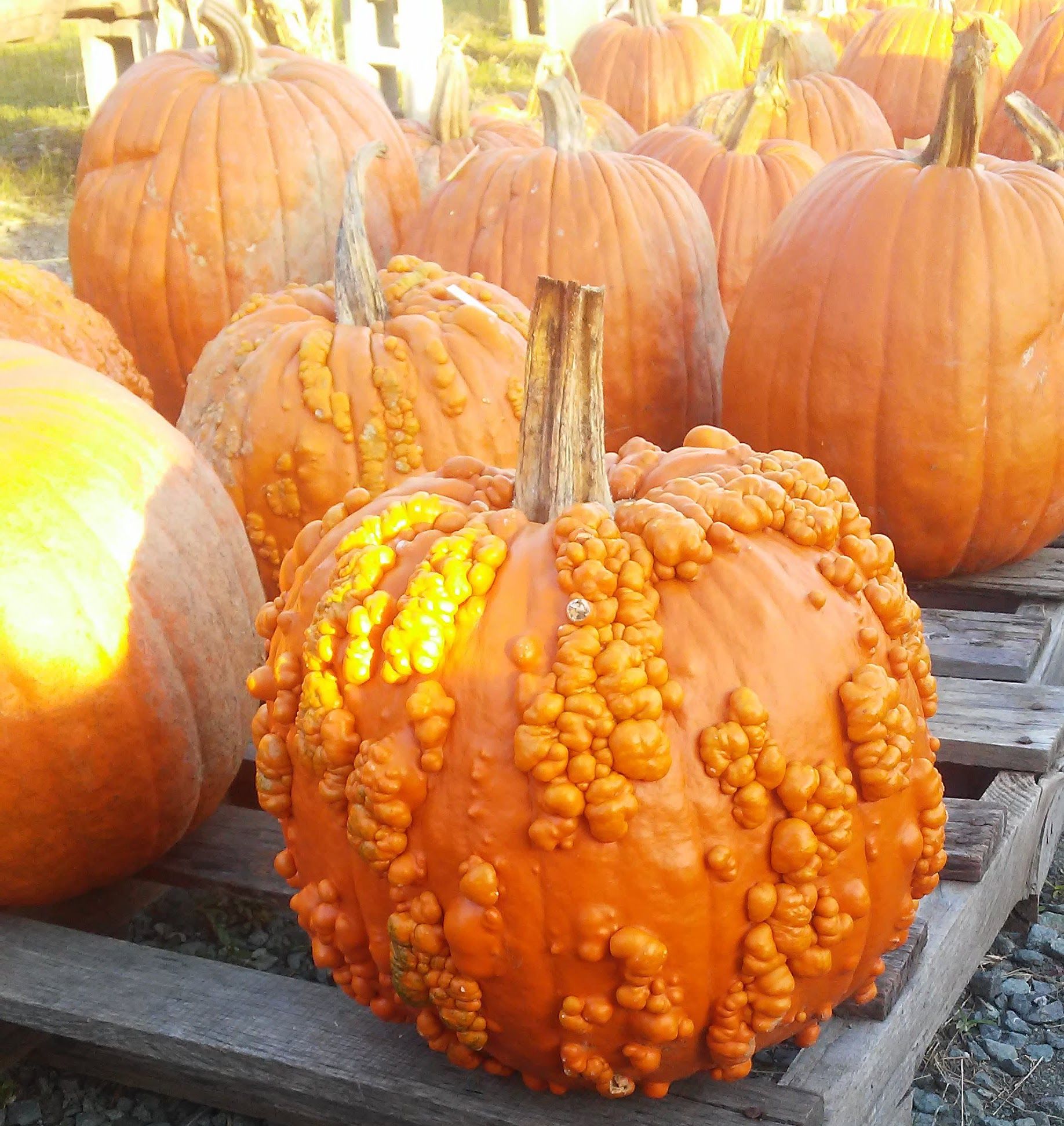 20181023_174654.jpg