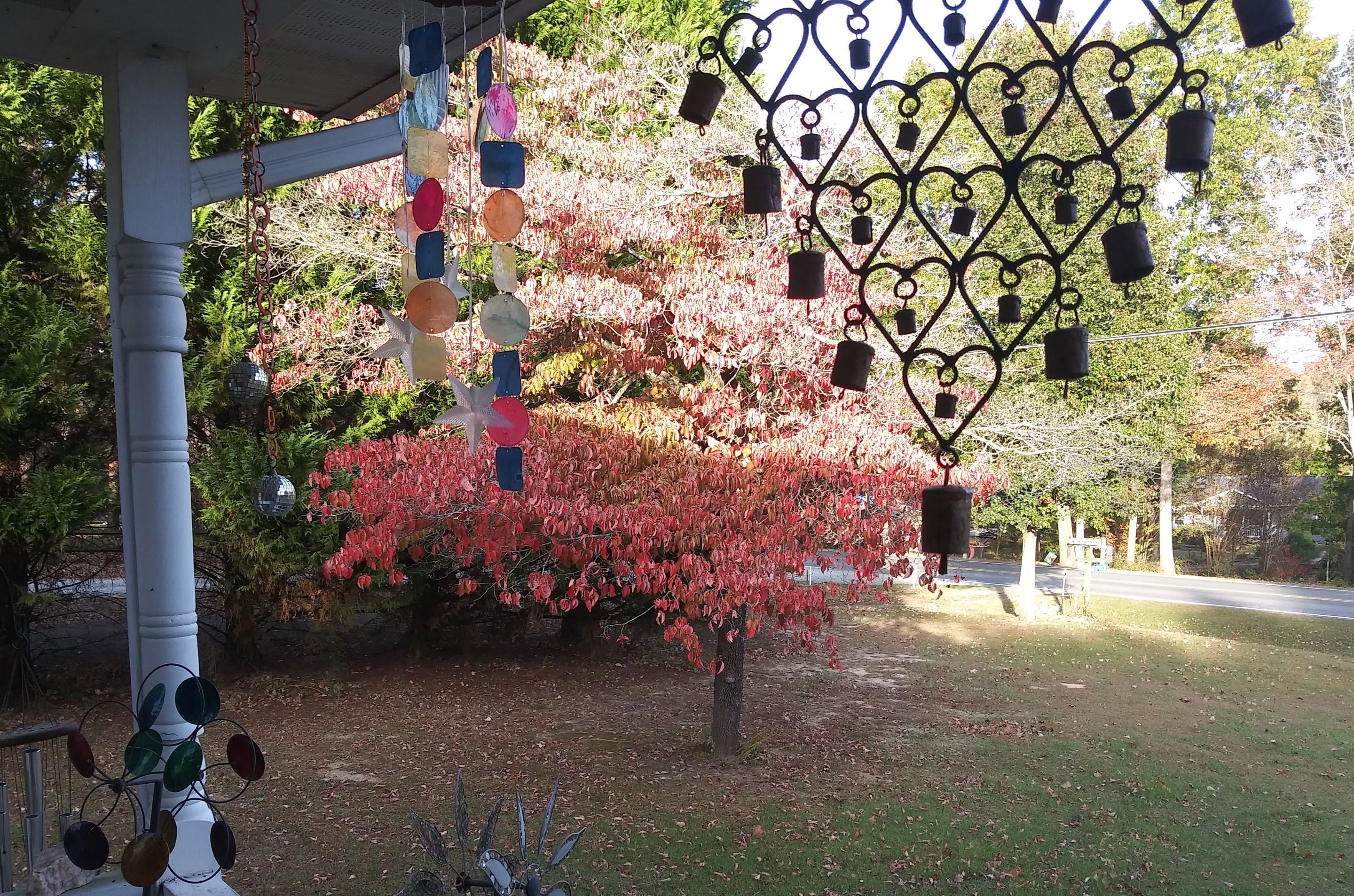 20251025_172024 (1).jpg