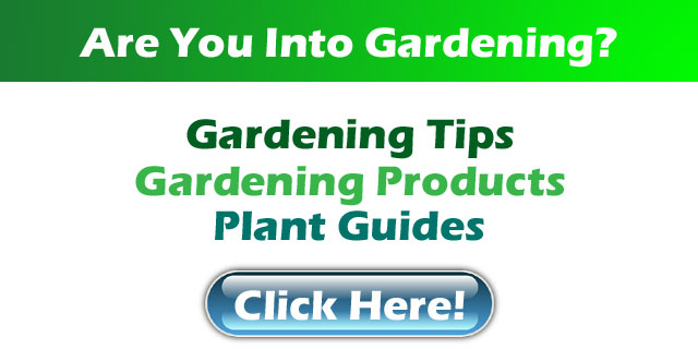 garden-depo.jpg