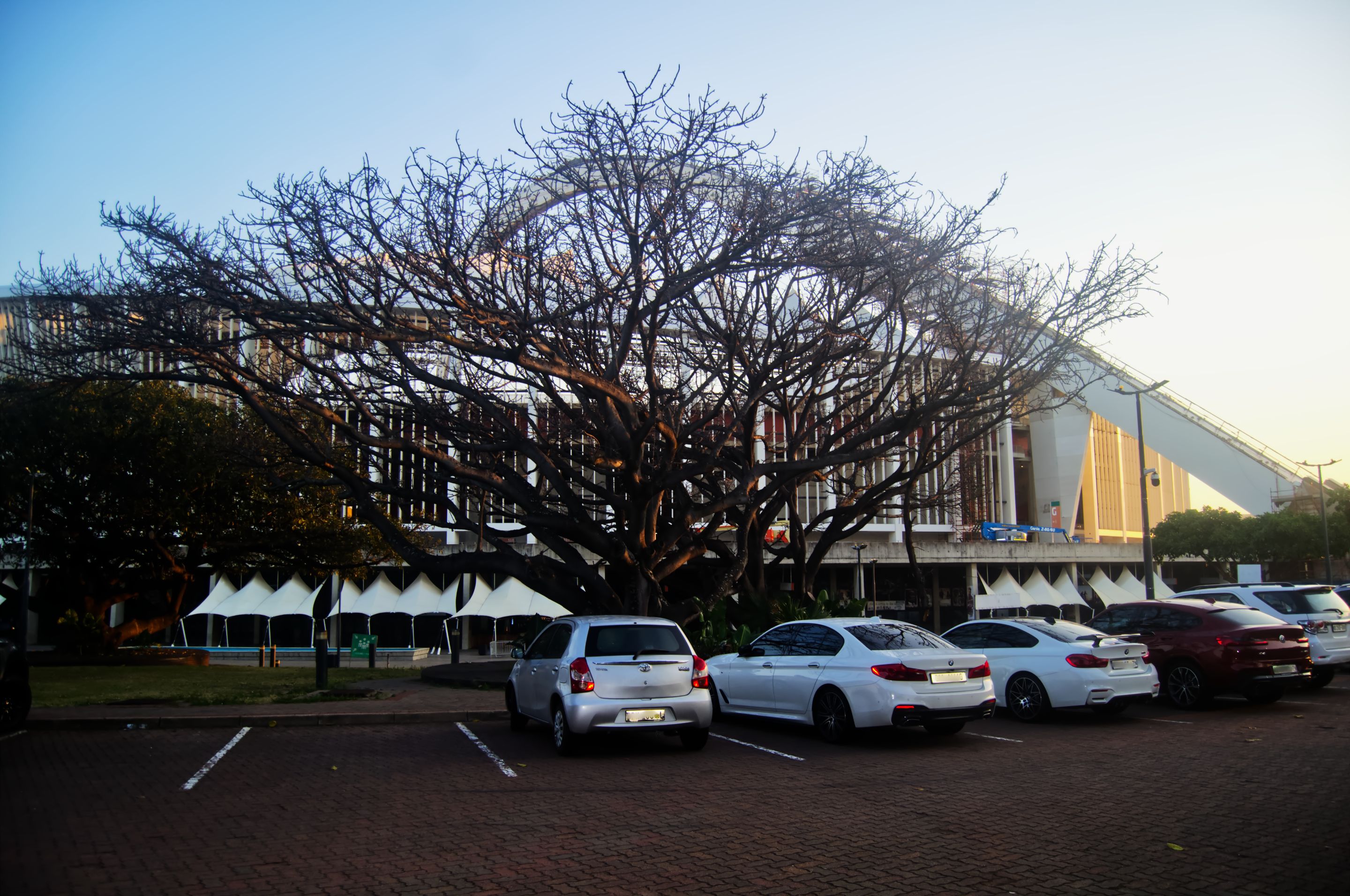 DSC_2322.jpg