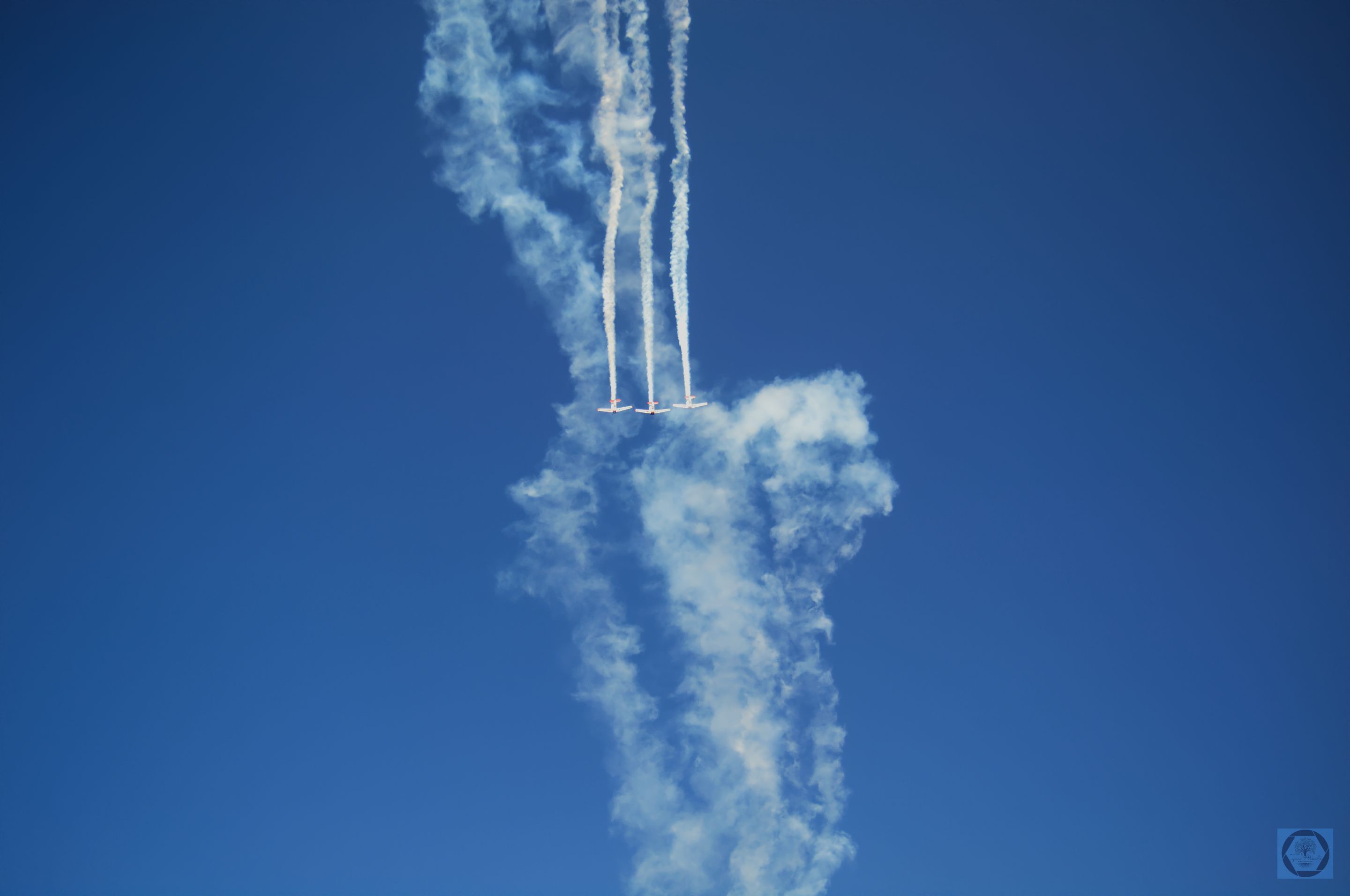DSC_2677.jpg
