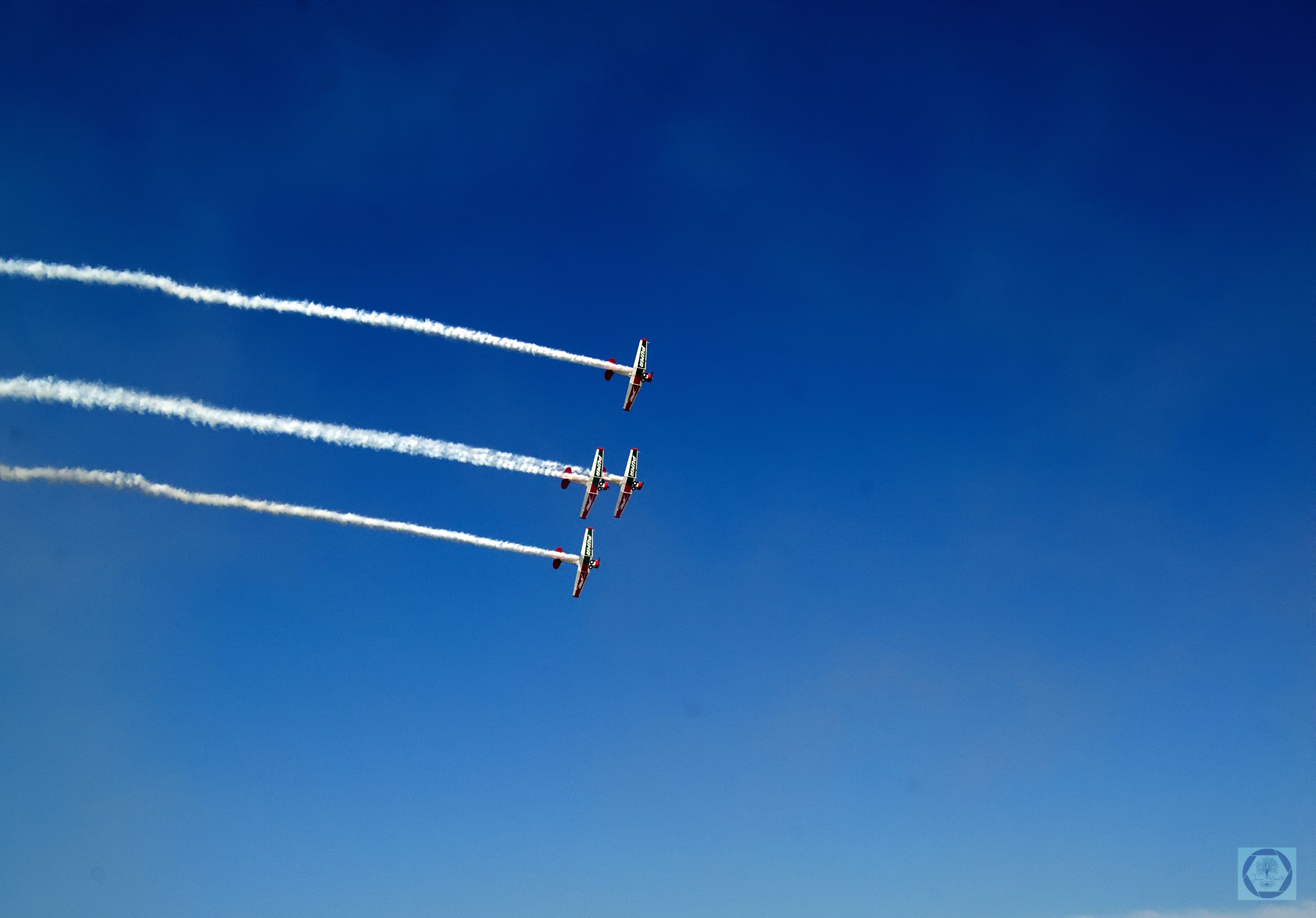 DSC_2767.jpg