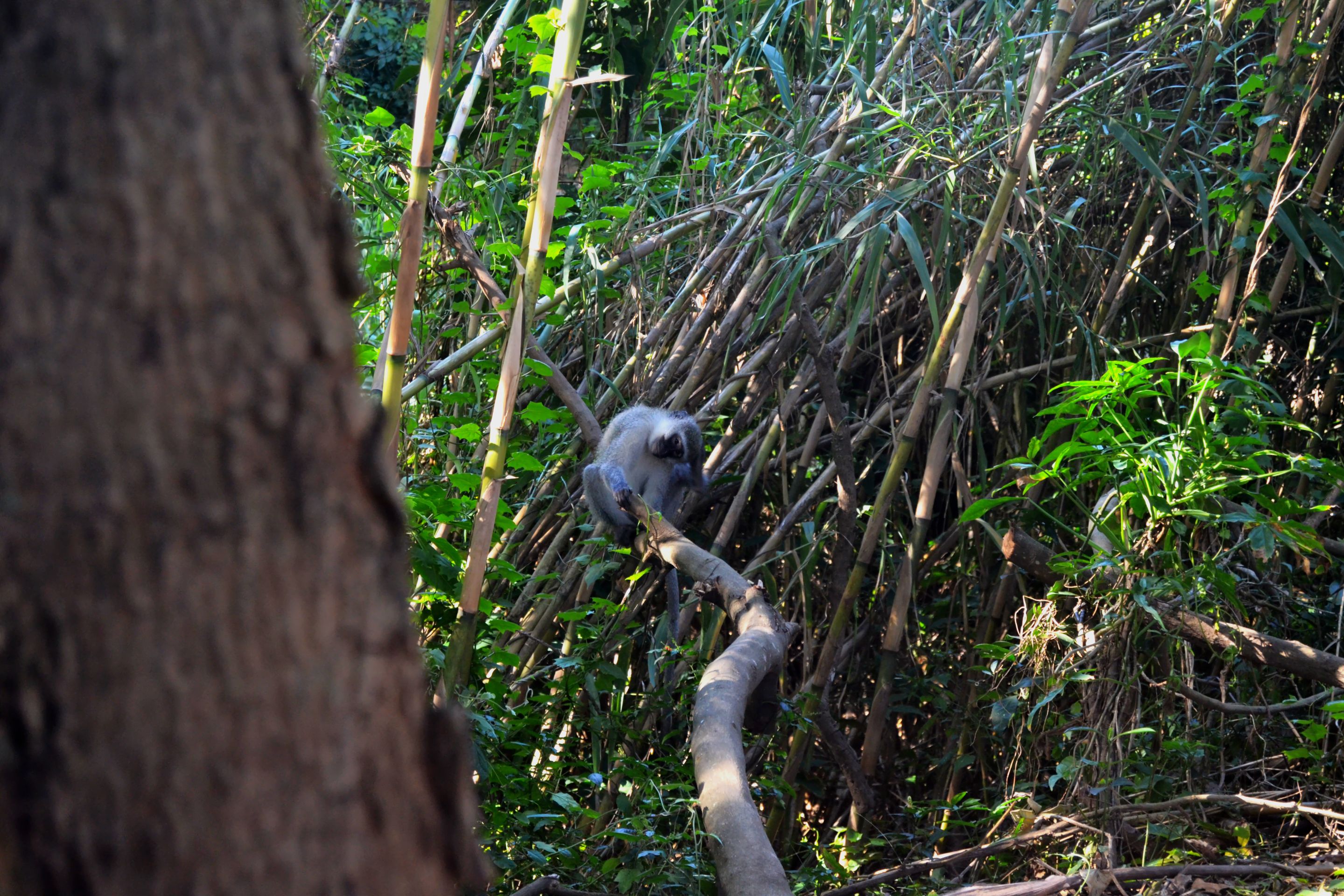 DSC_9932.jpg