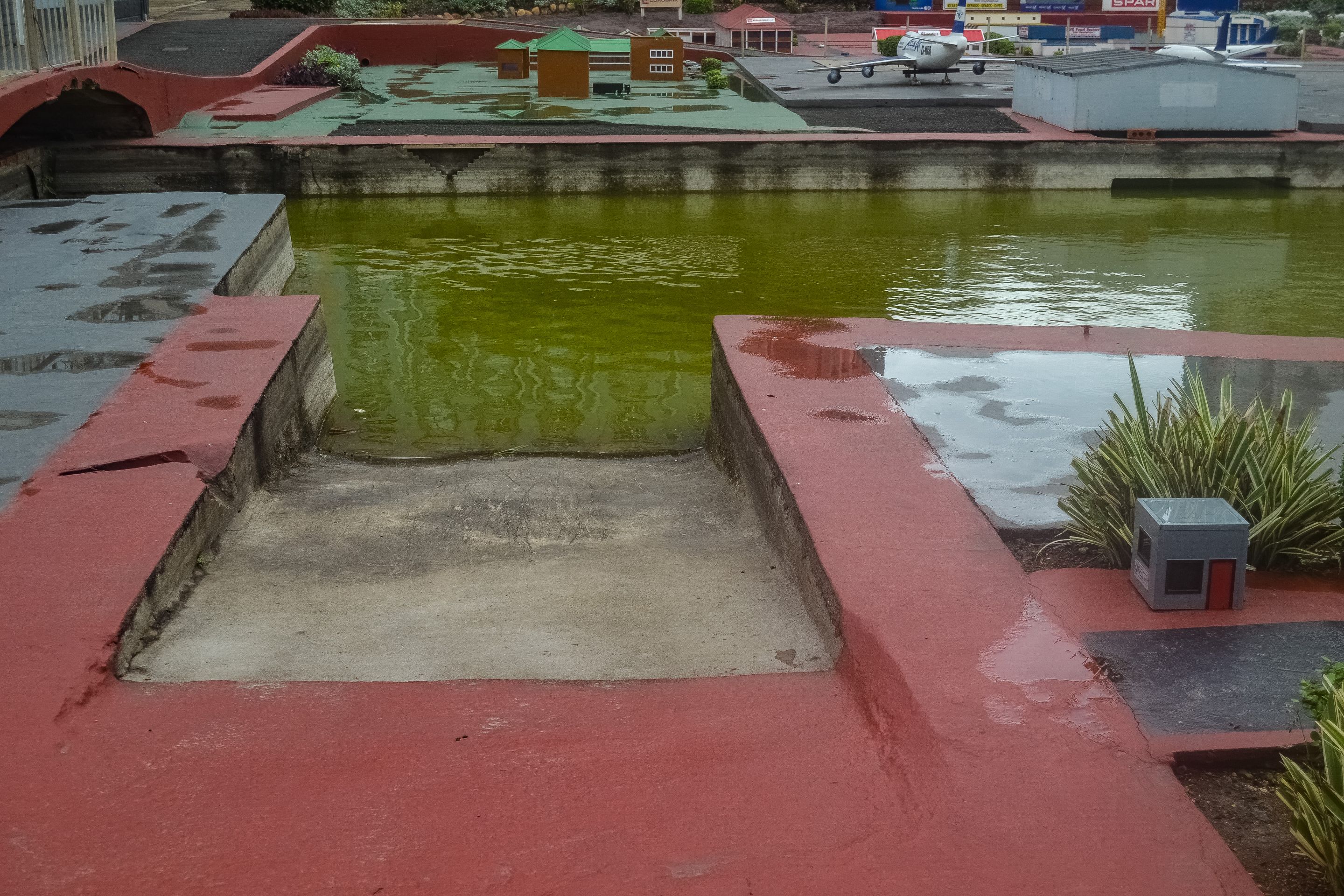 DSC_4763.jpg