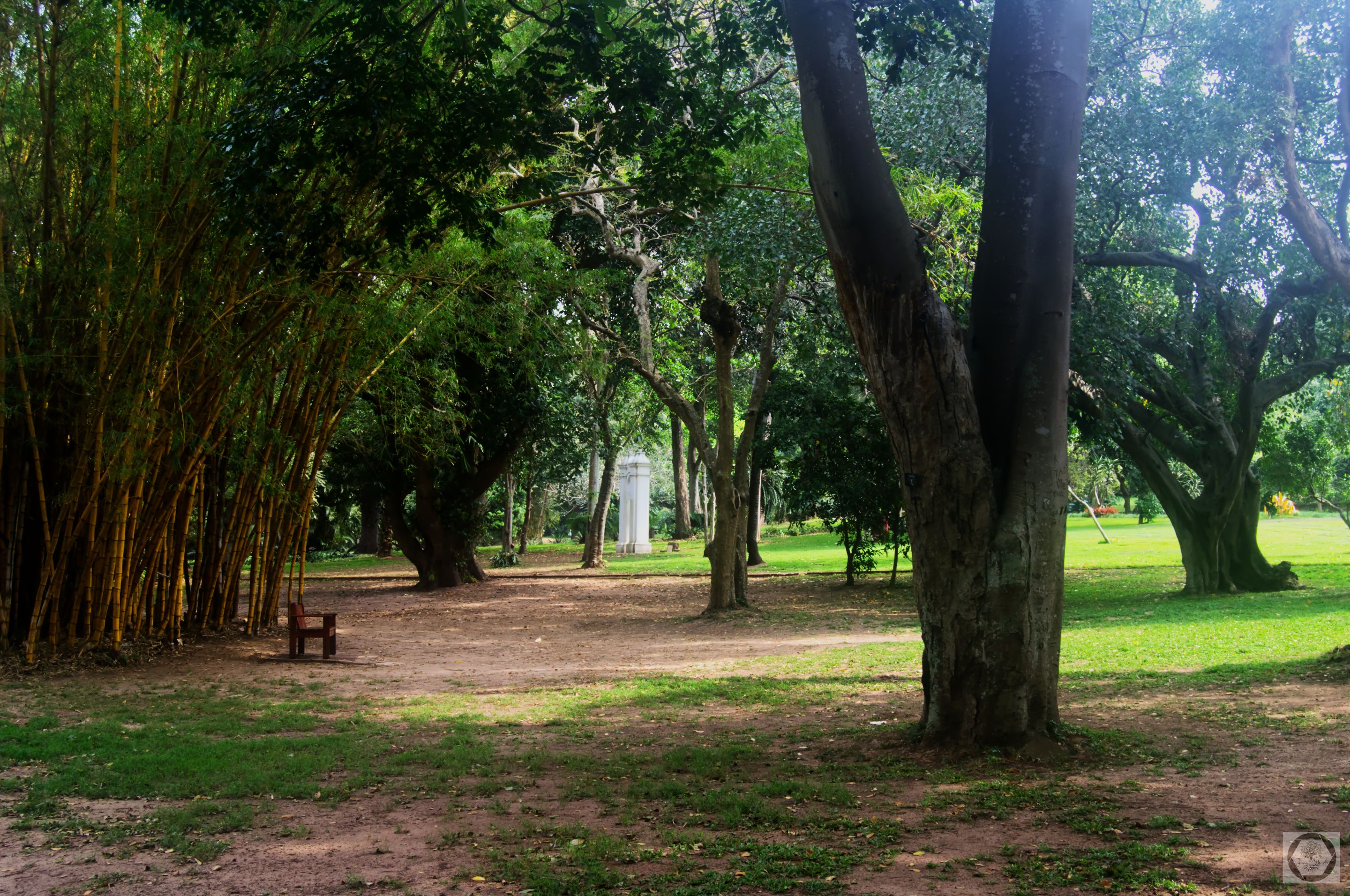 DSC_3052.jpg