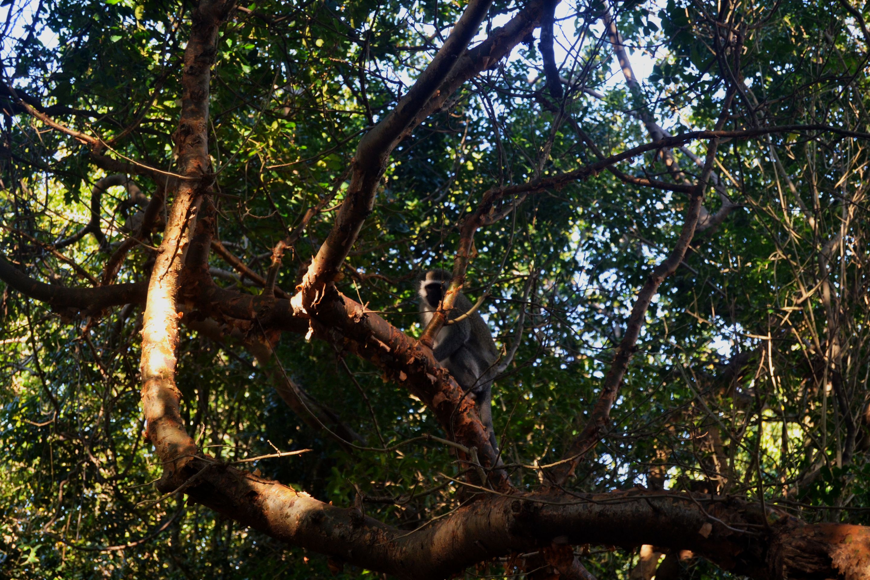 DSC_9927.jpg