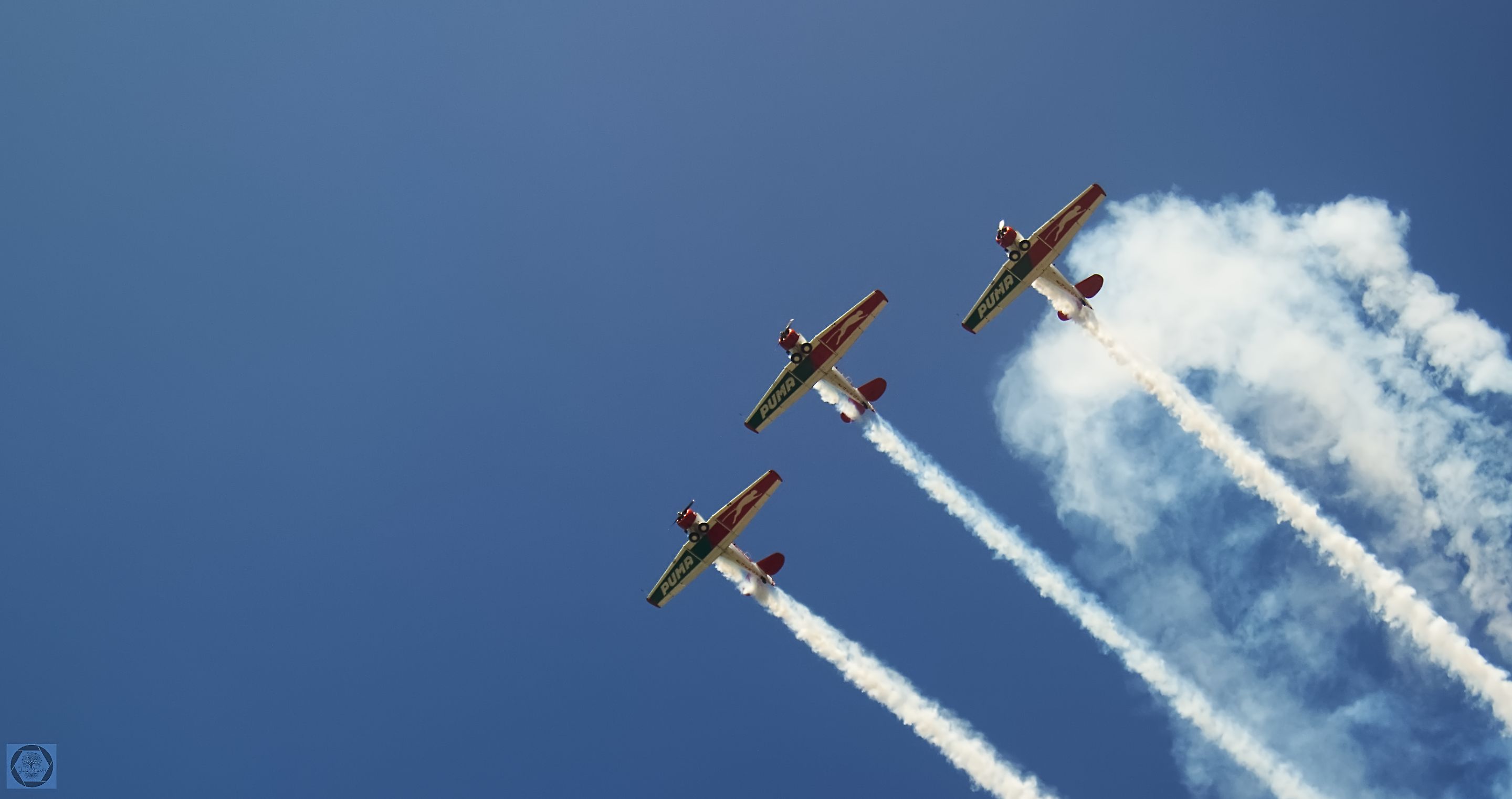 DSC_2682-1.jpg