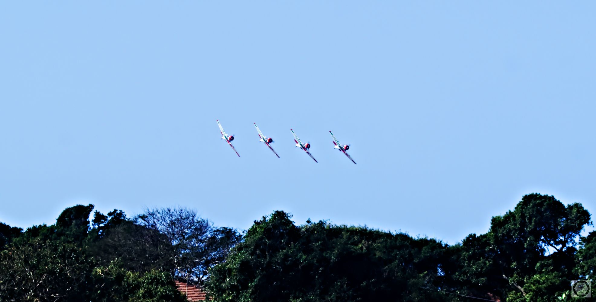 DSC_2992.jpg