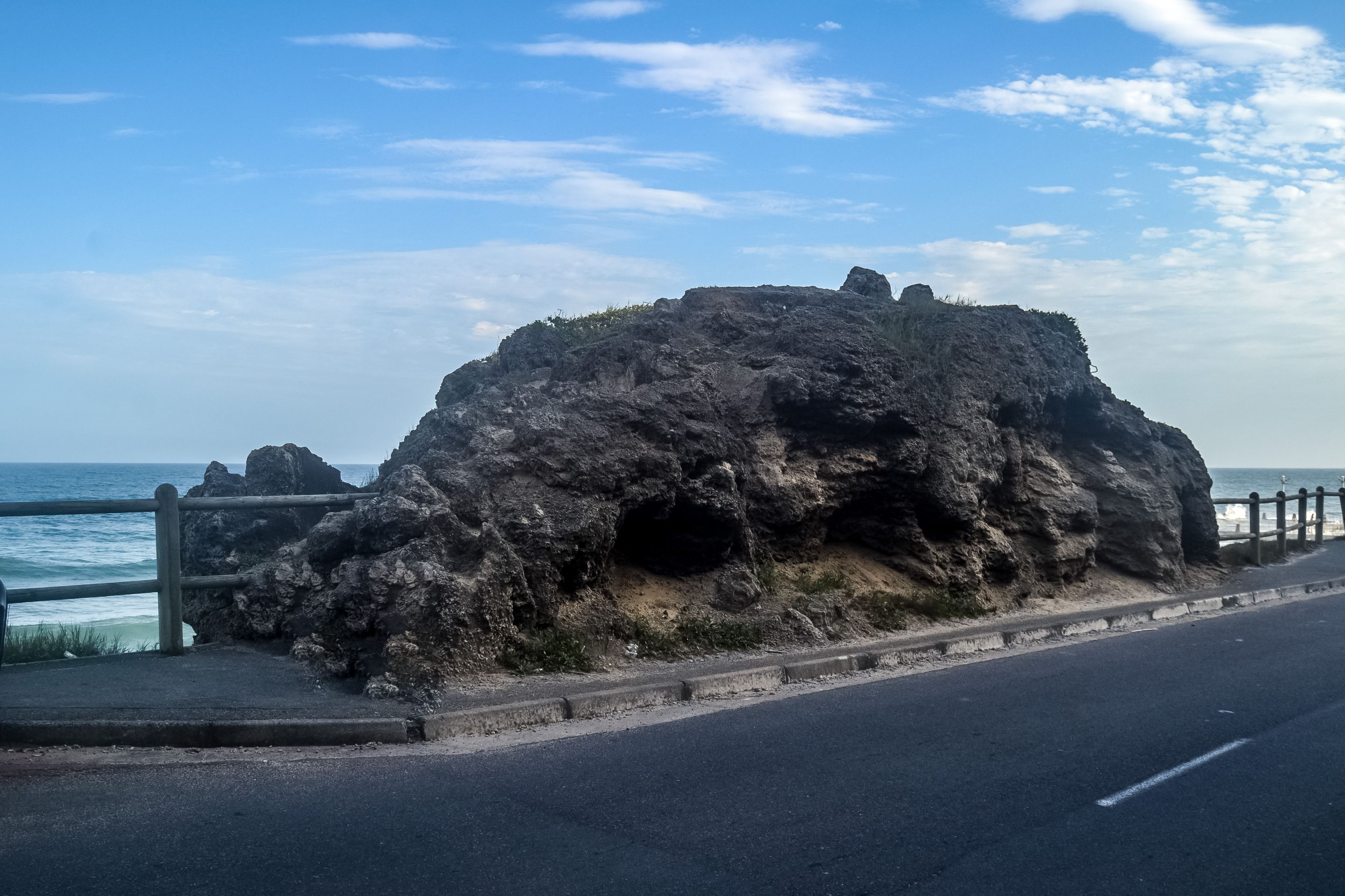 DSC_5623.jpg