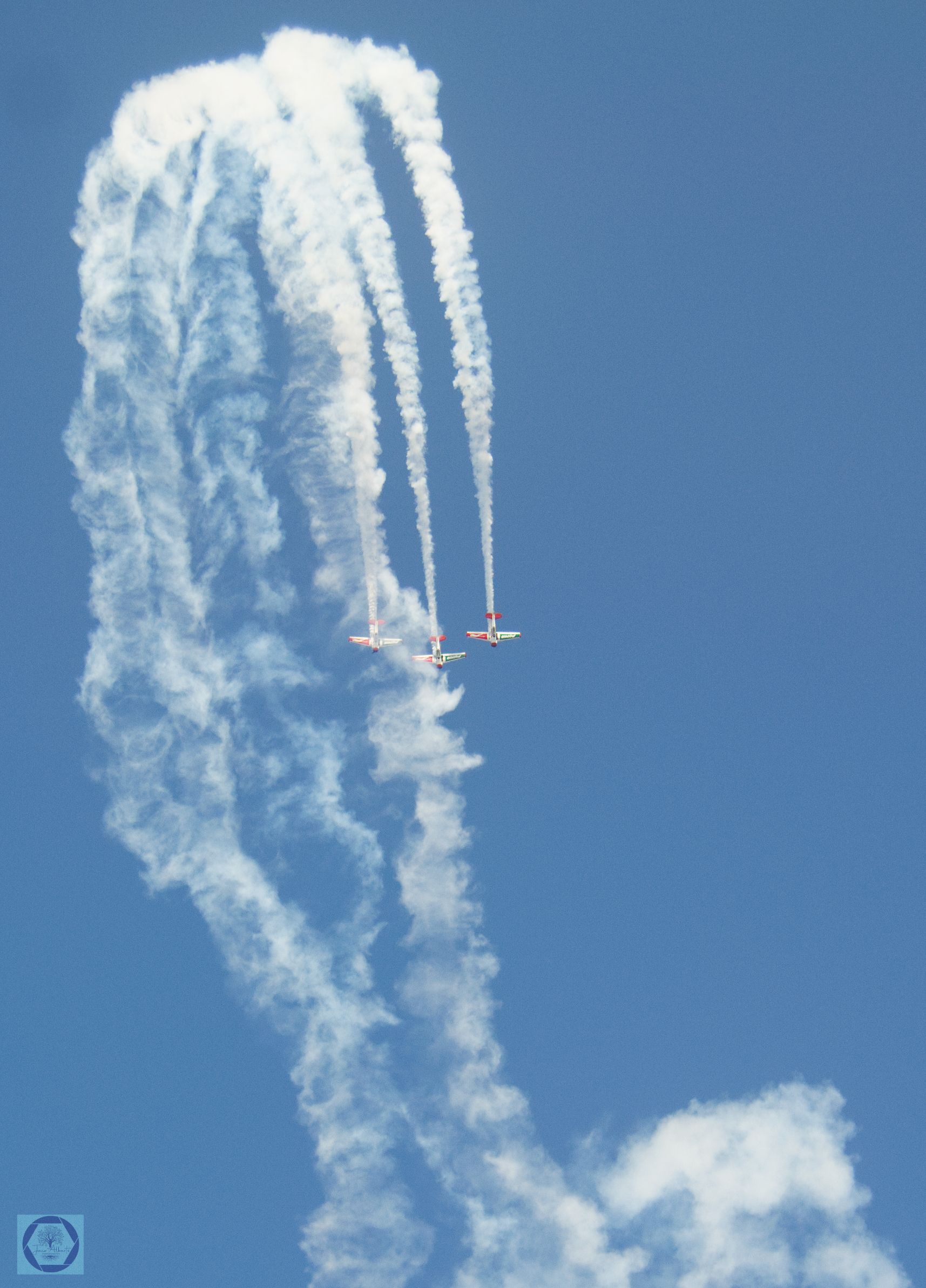 DSC_2675-1.jpg