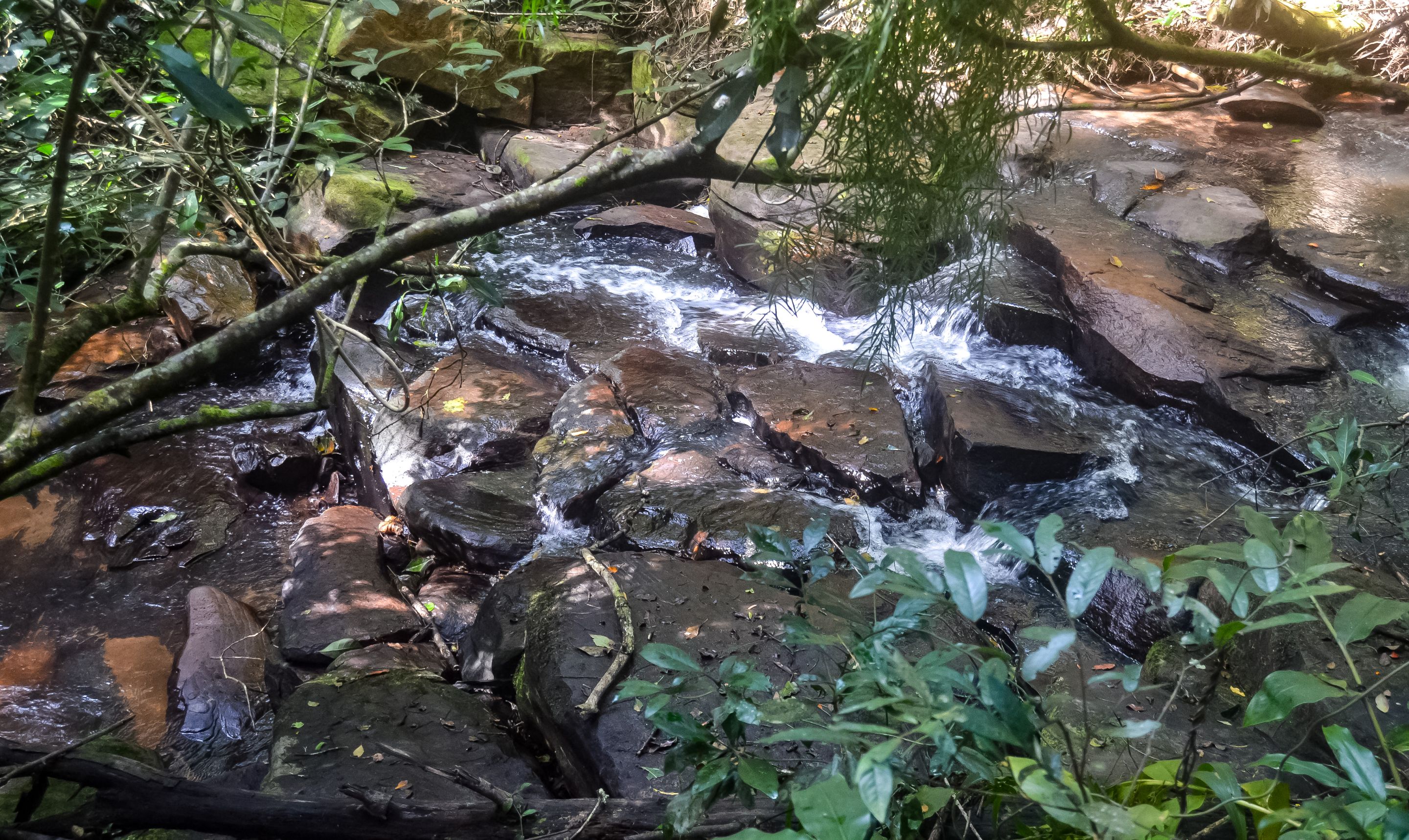 DSC_7128.jpg