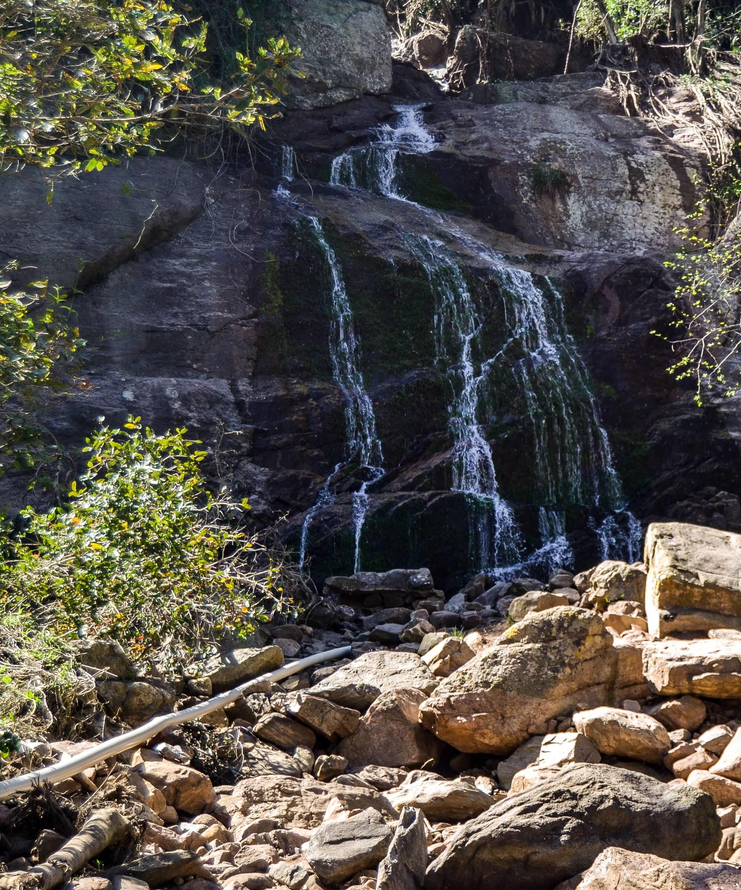 DSC_3145-2.jpg