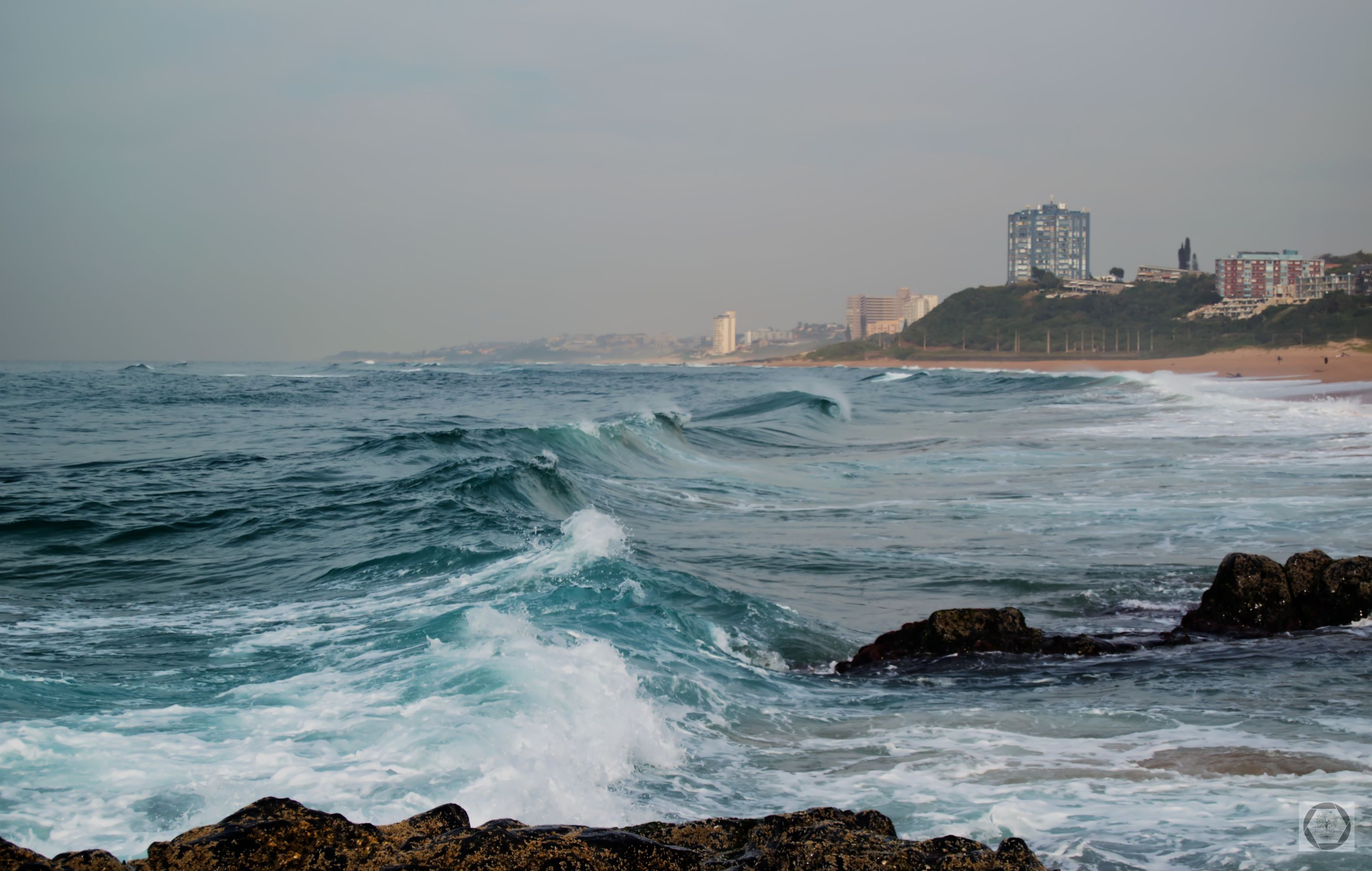 DSC_2547.jpg
