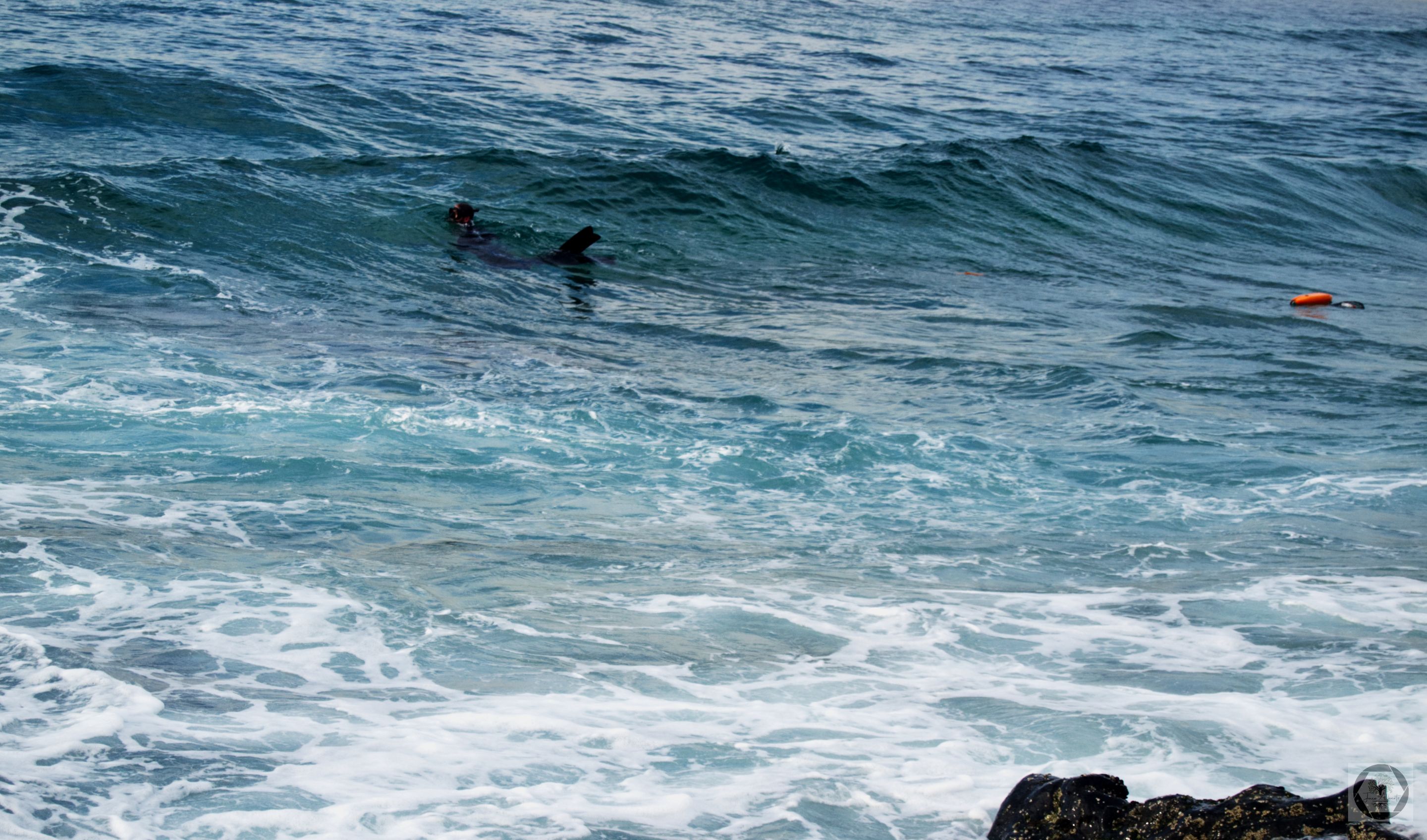 DSC_2433.jpg
