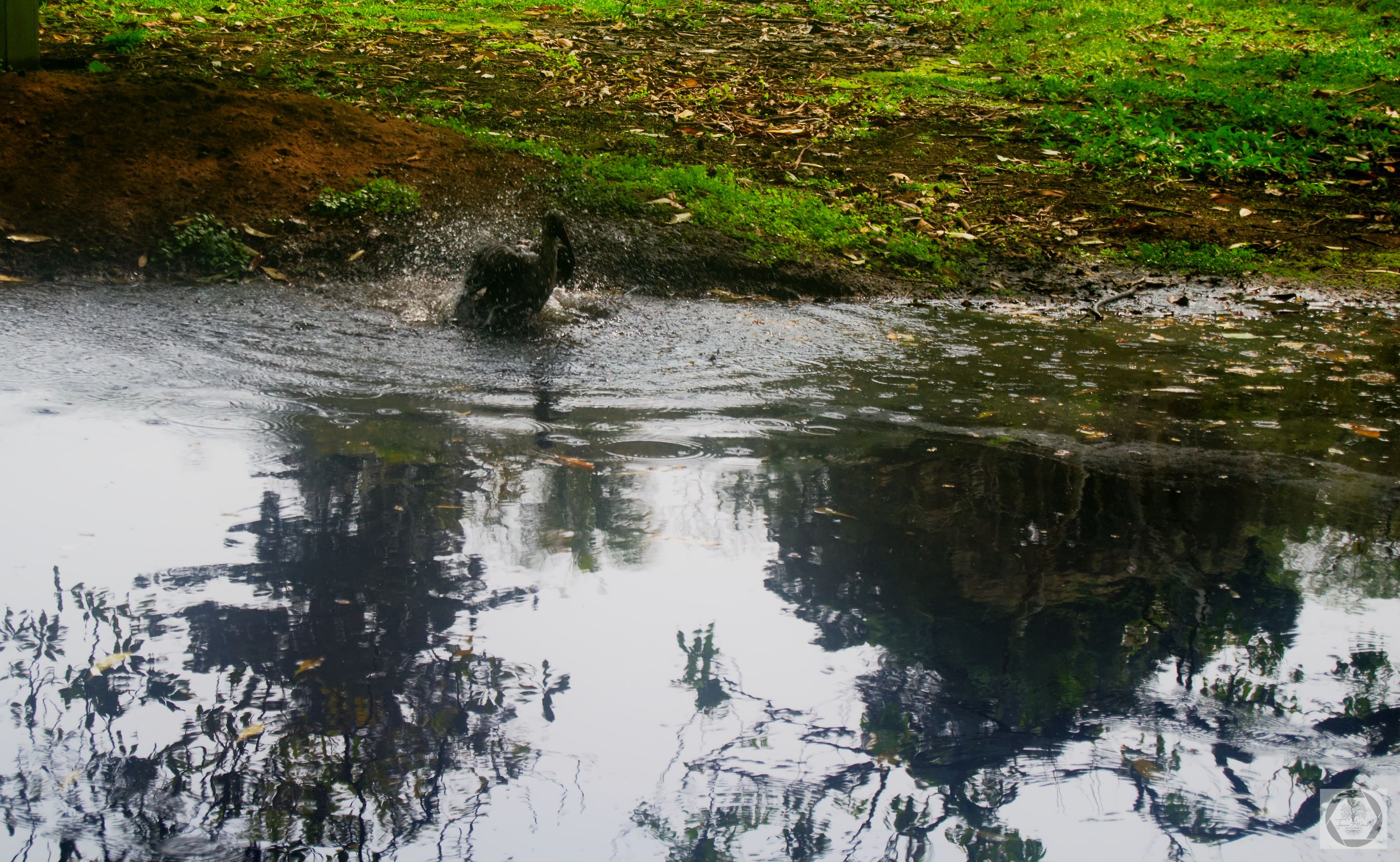 DSC_3041-1.jpg