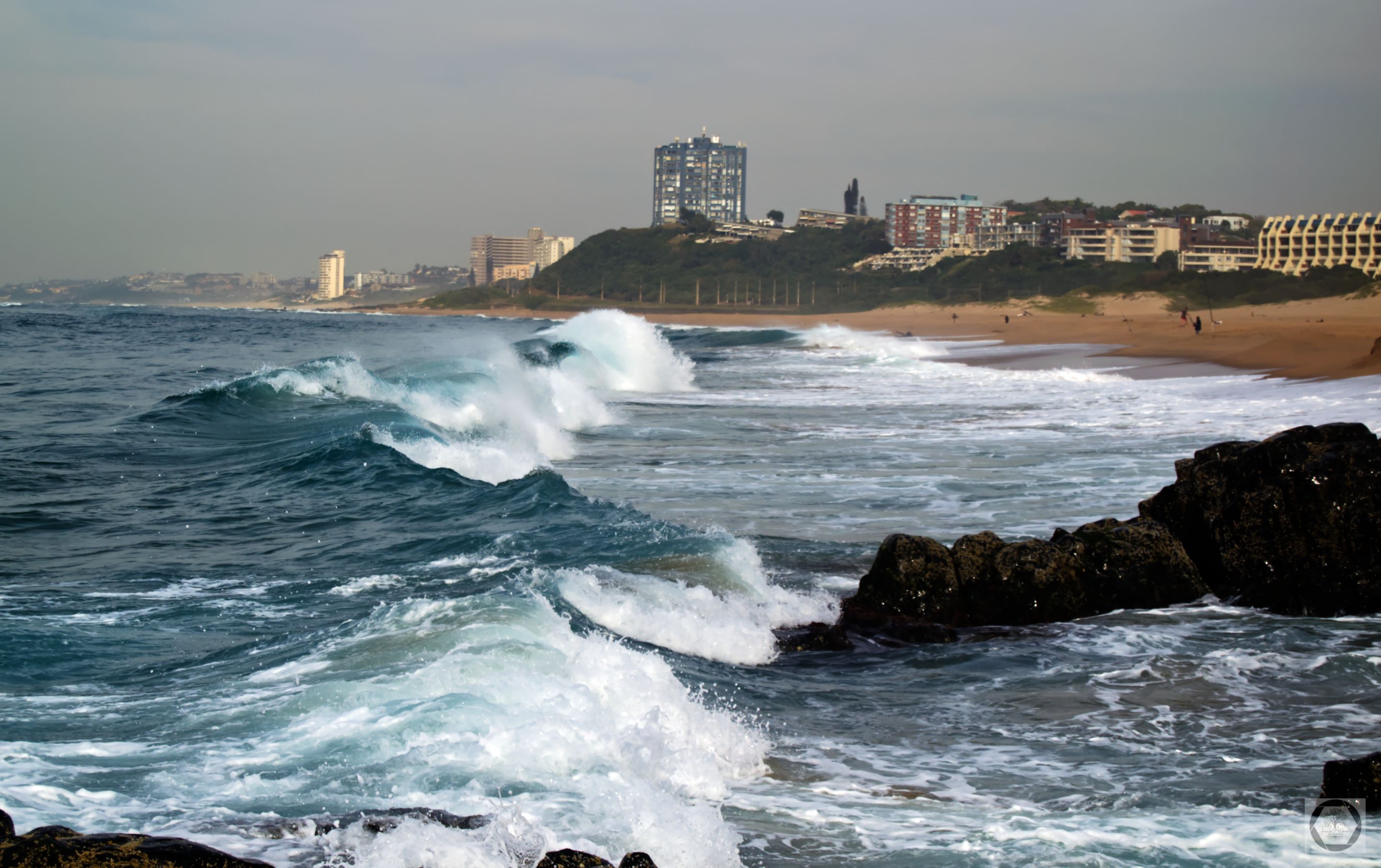 DSC_2550-1.jpg