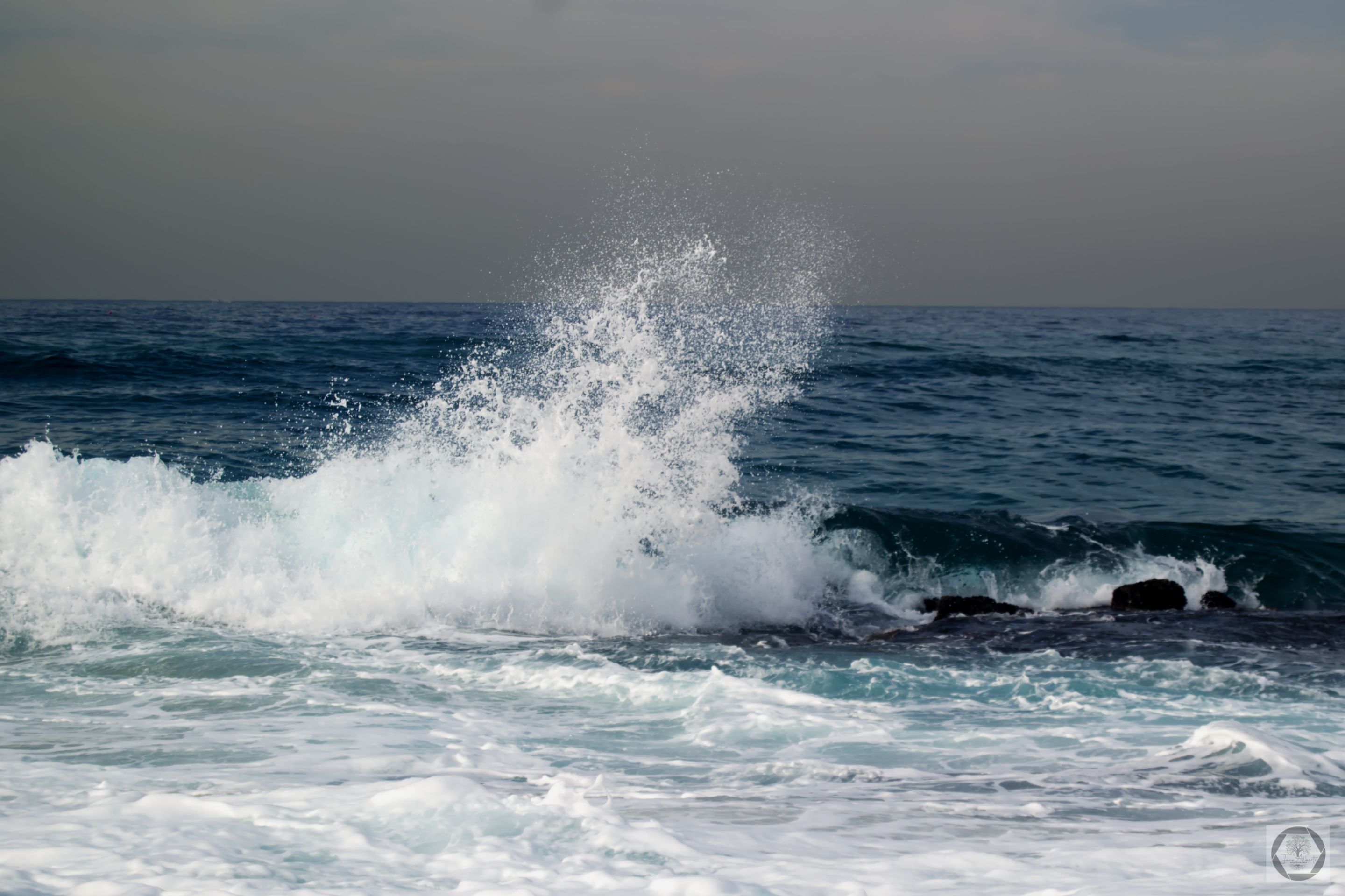 DSC_2569.jpg