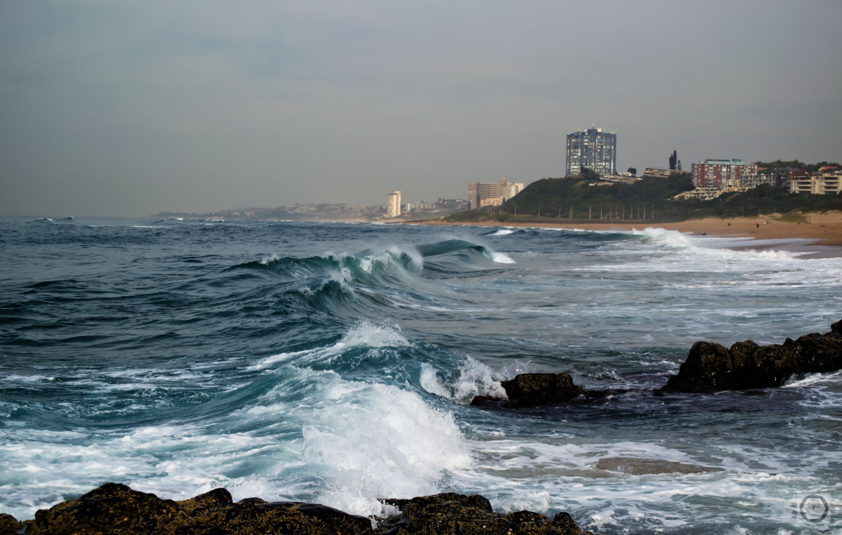 DSC_2548.jpg