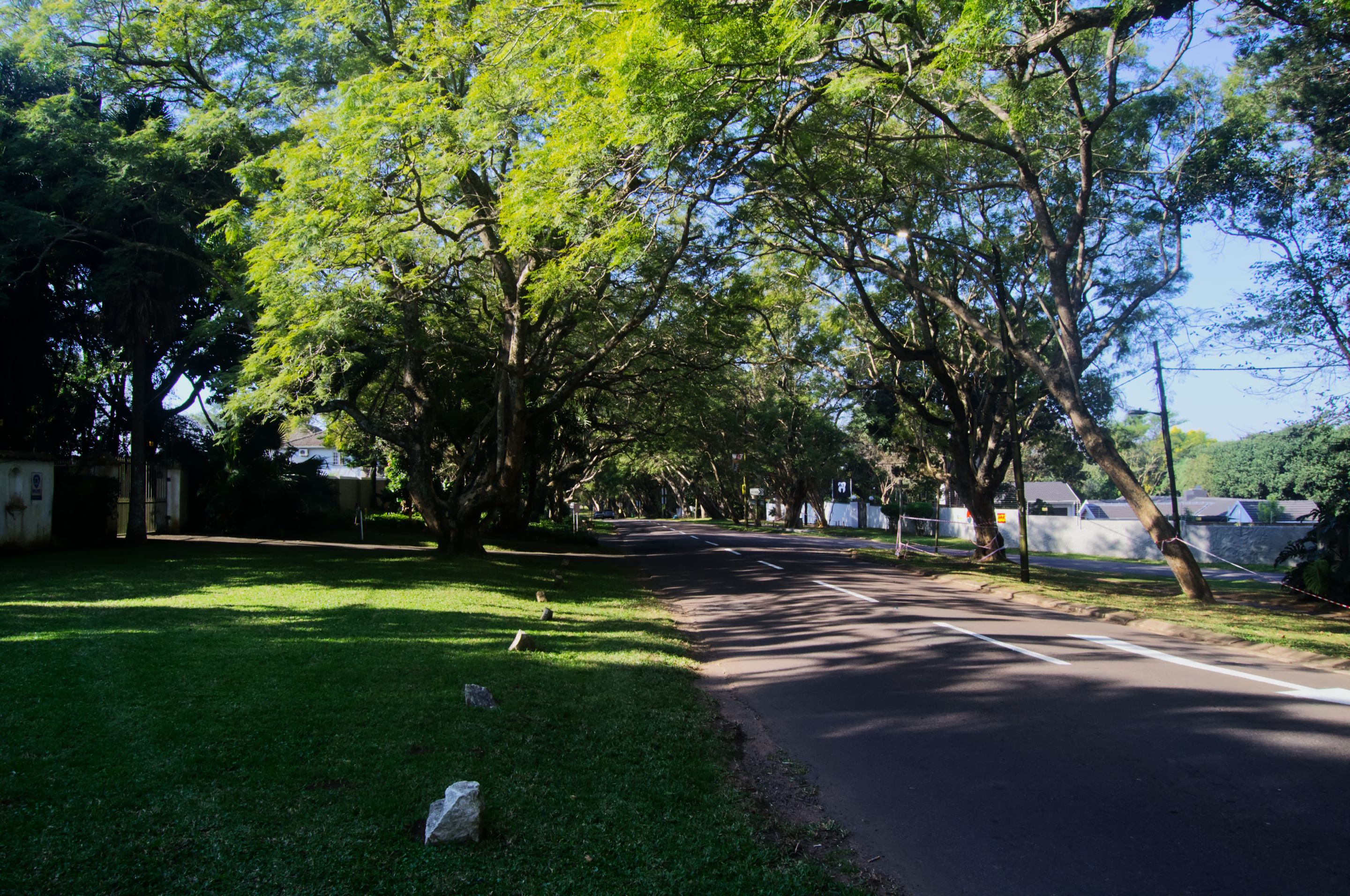 DSC_1668.jpg