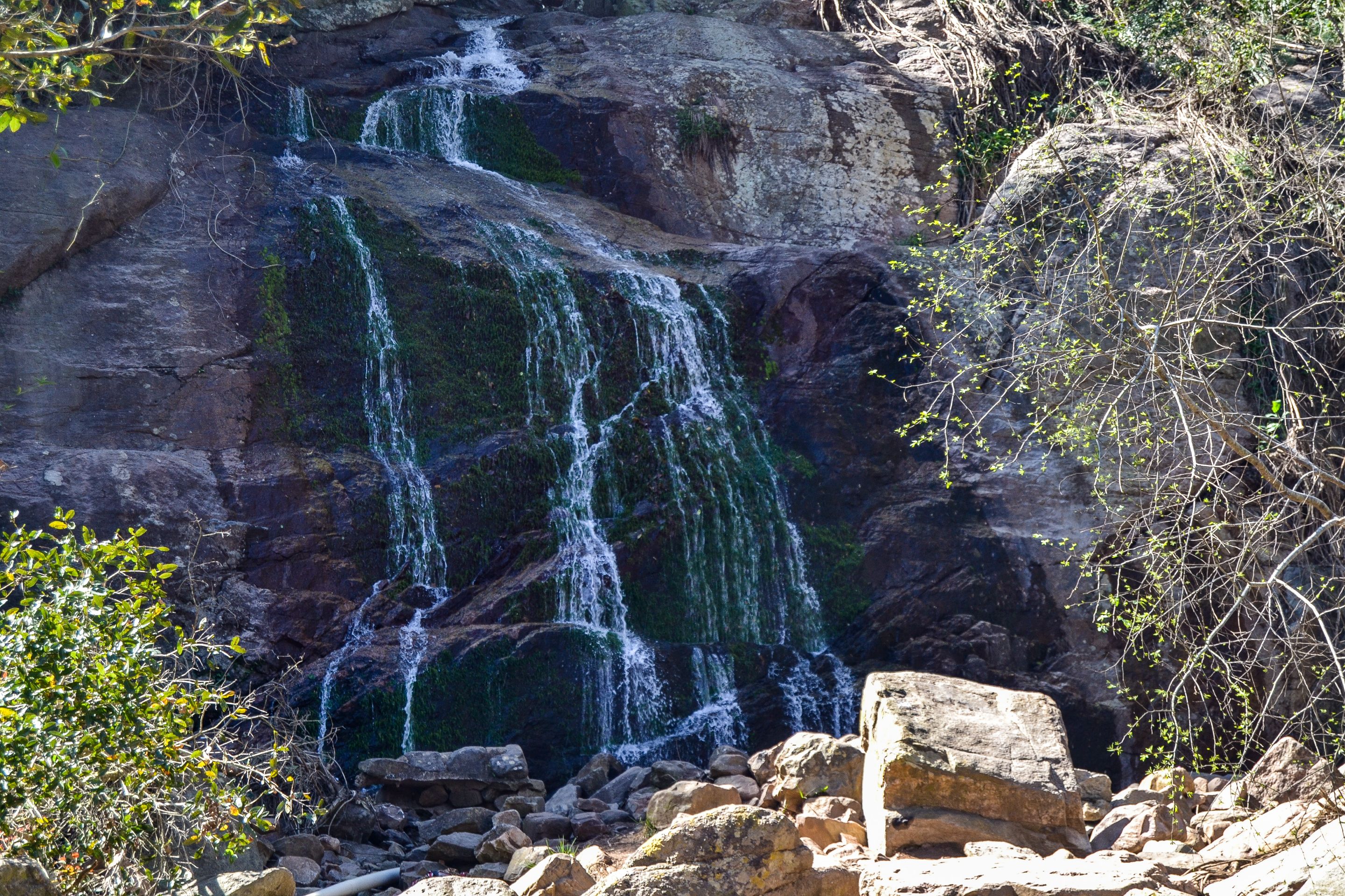 DSC_3143.jpg