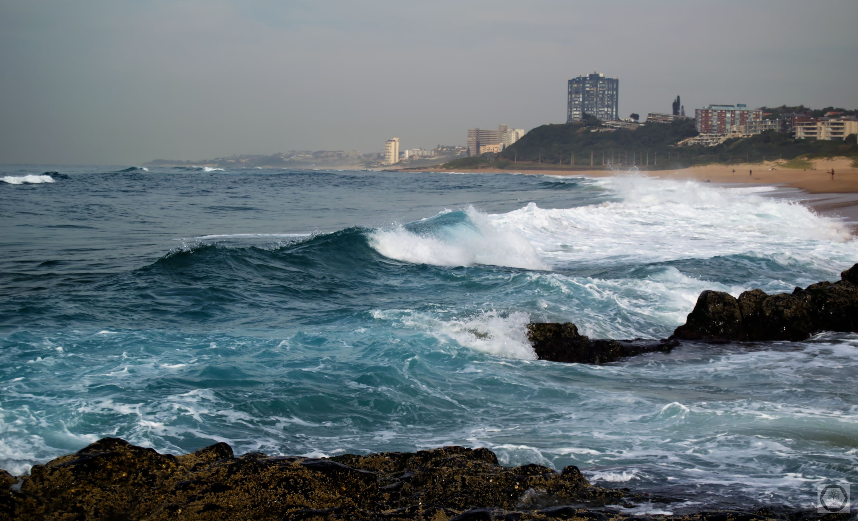 DSC_2546.jpg