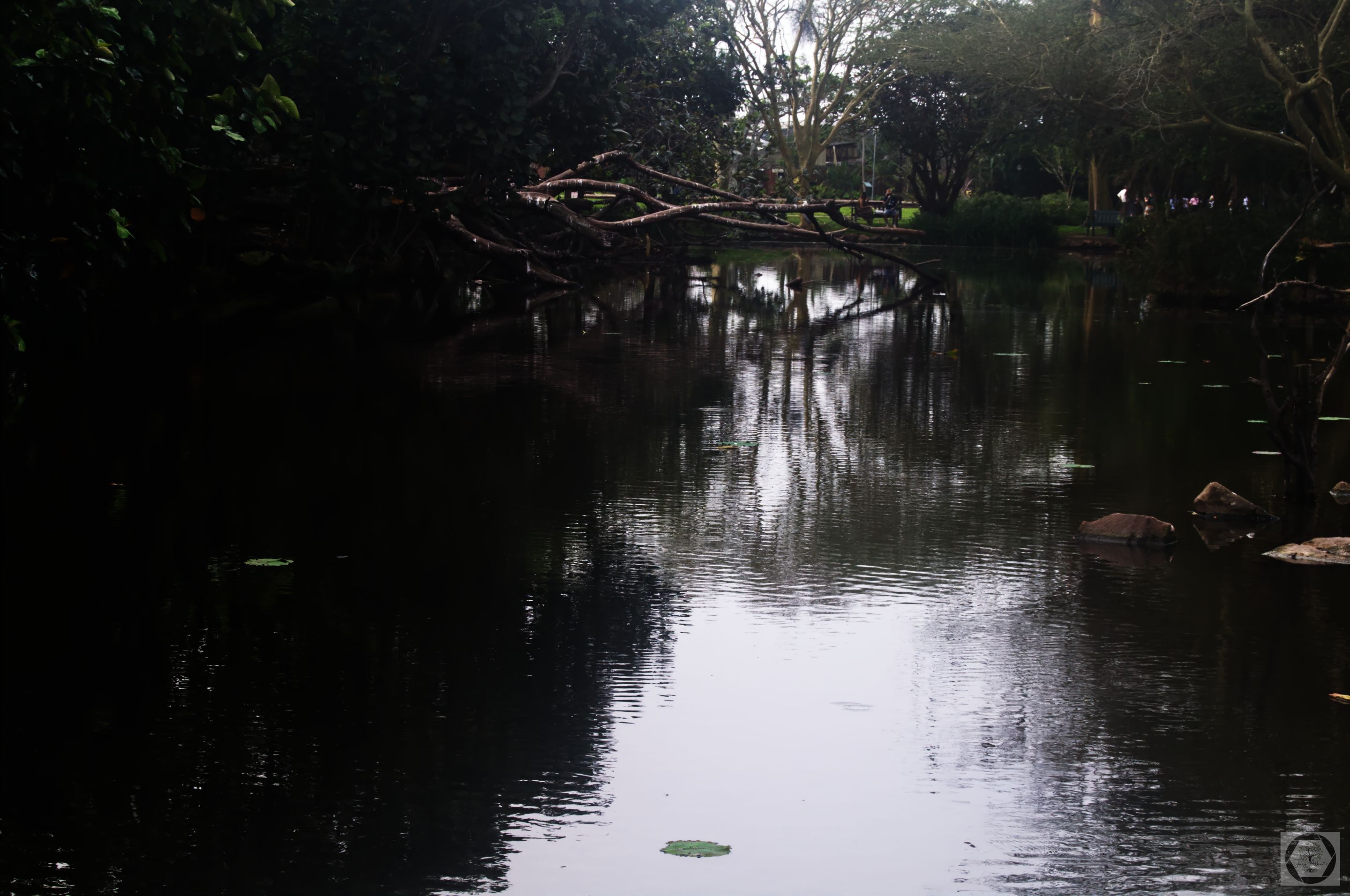 DSC_3088.jpg