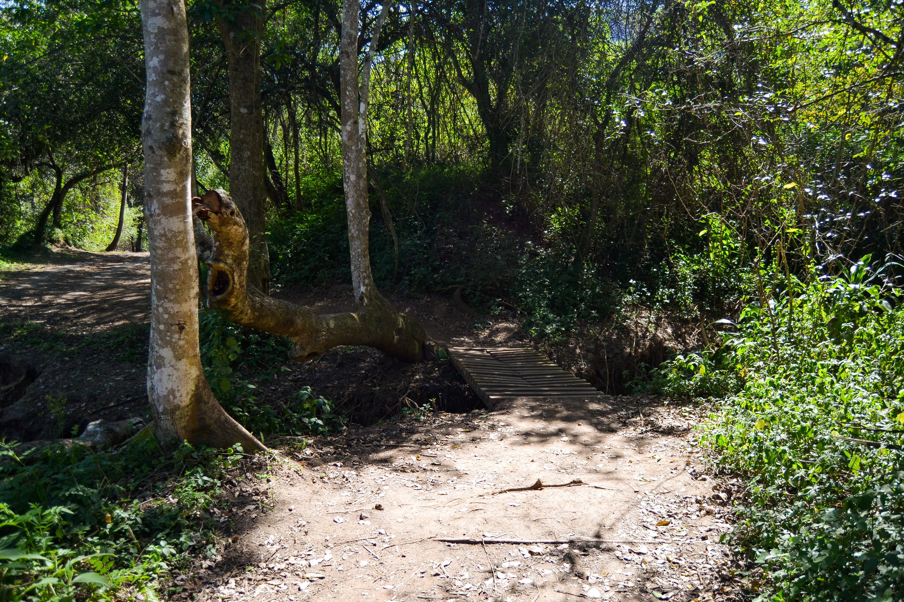 DSC_3105.jpg