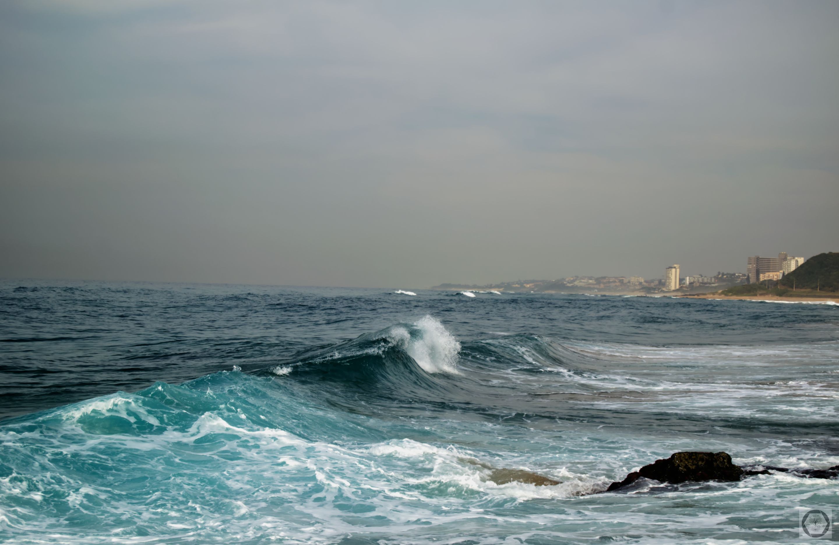 DSC_2584.jpg