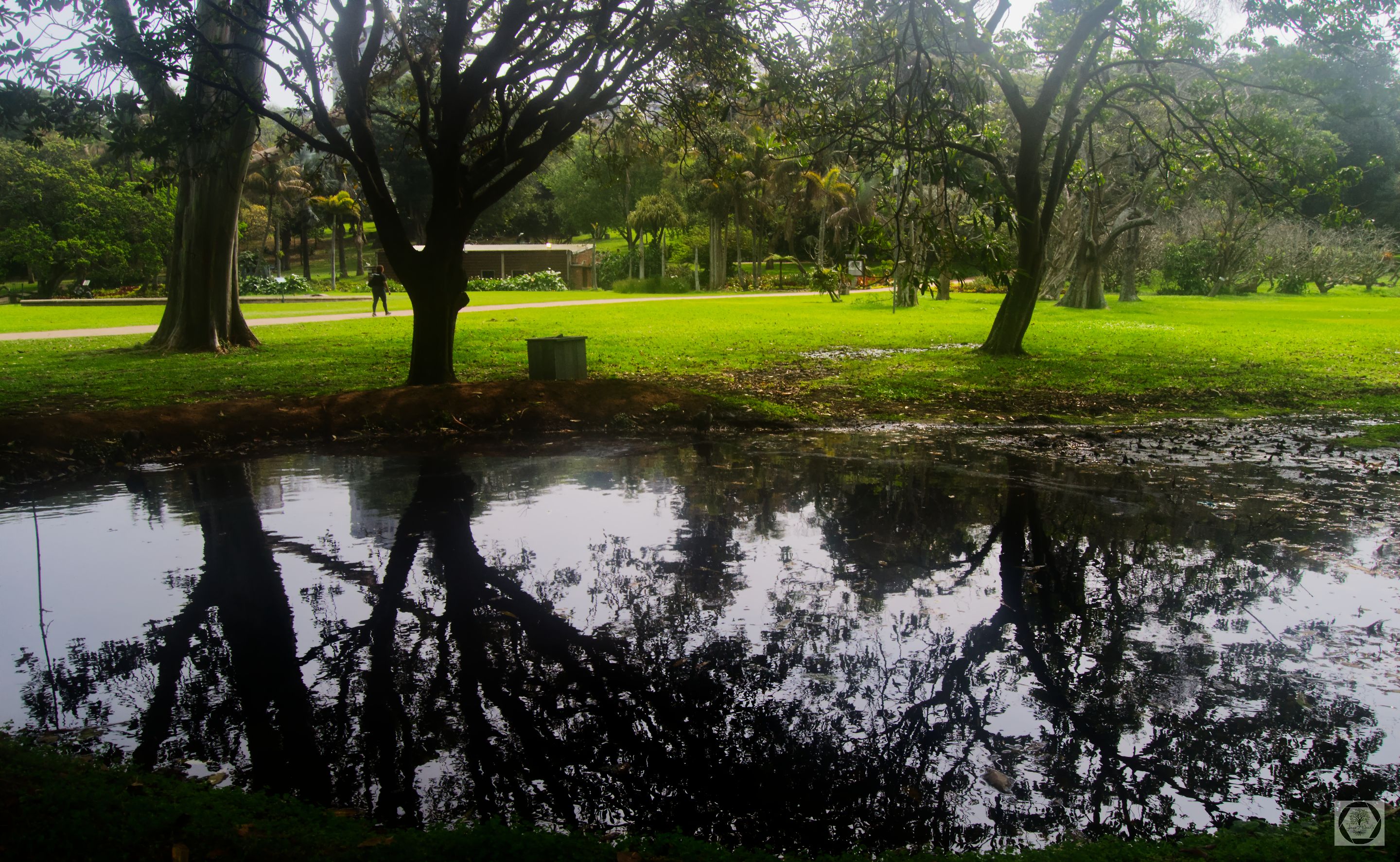DSC_3037.jpg