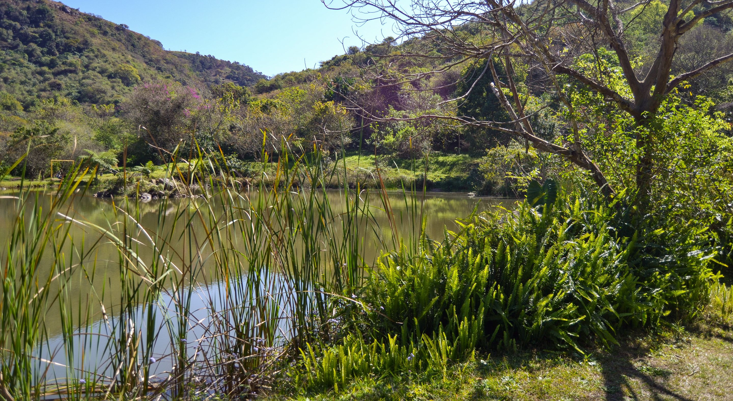 DSC_3122.jpg
