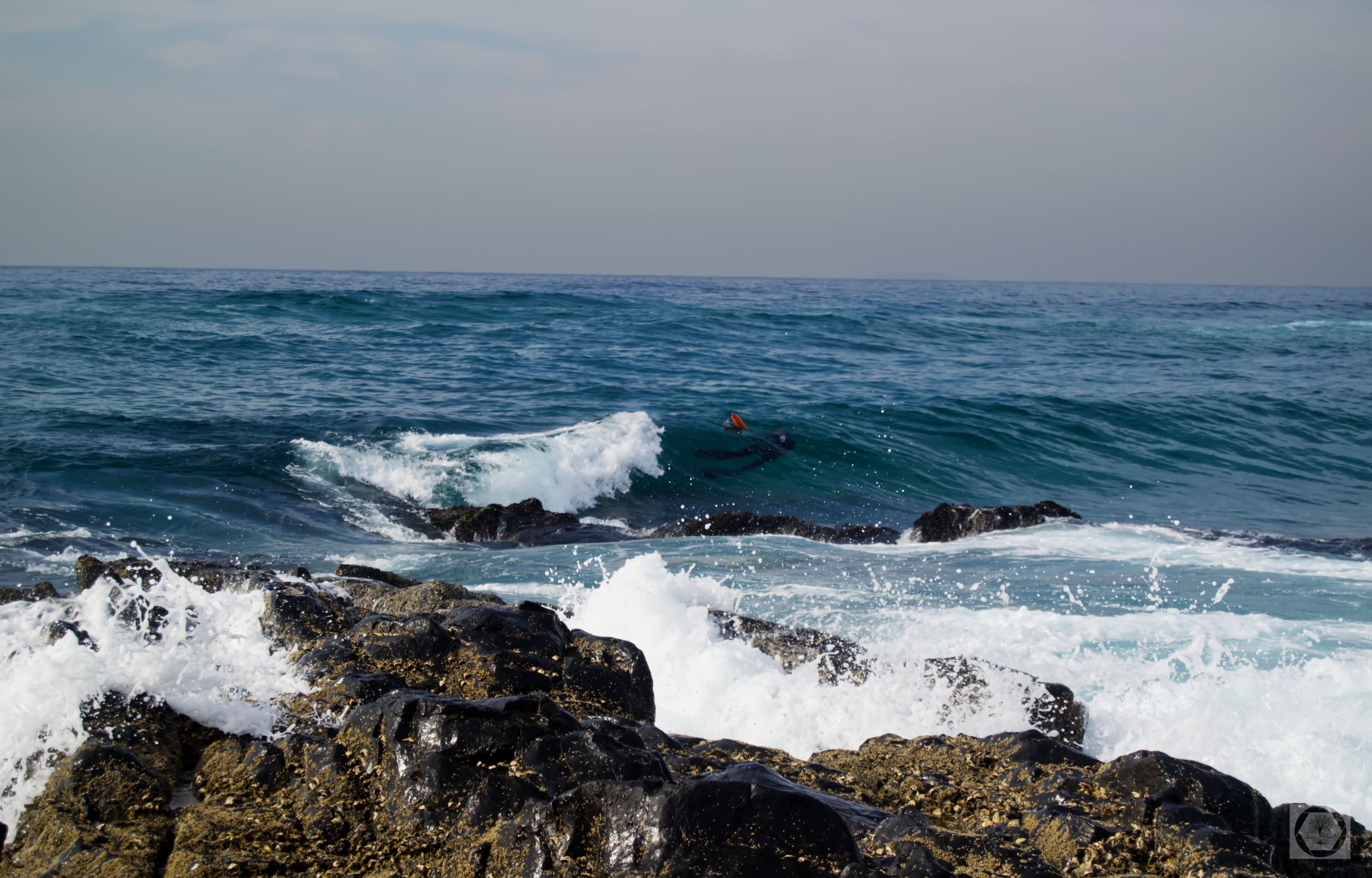 DSC_2613.jpg
