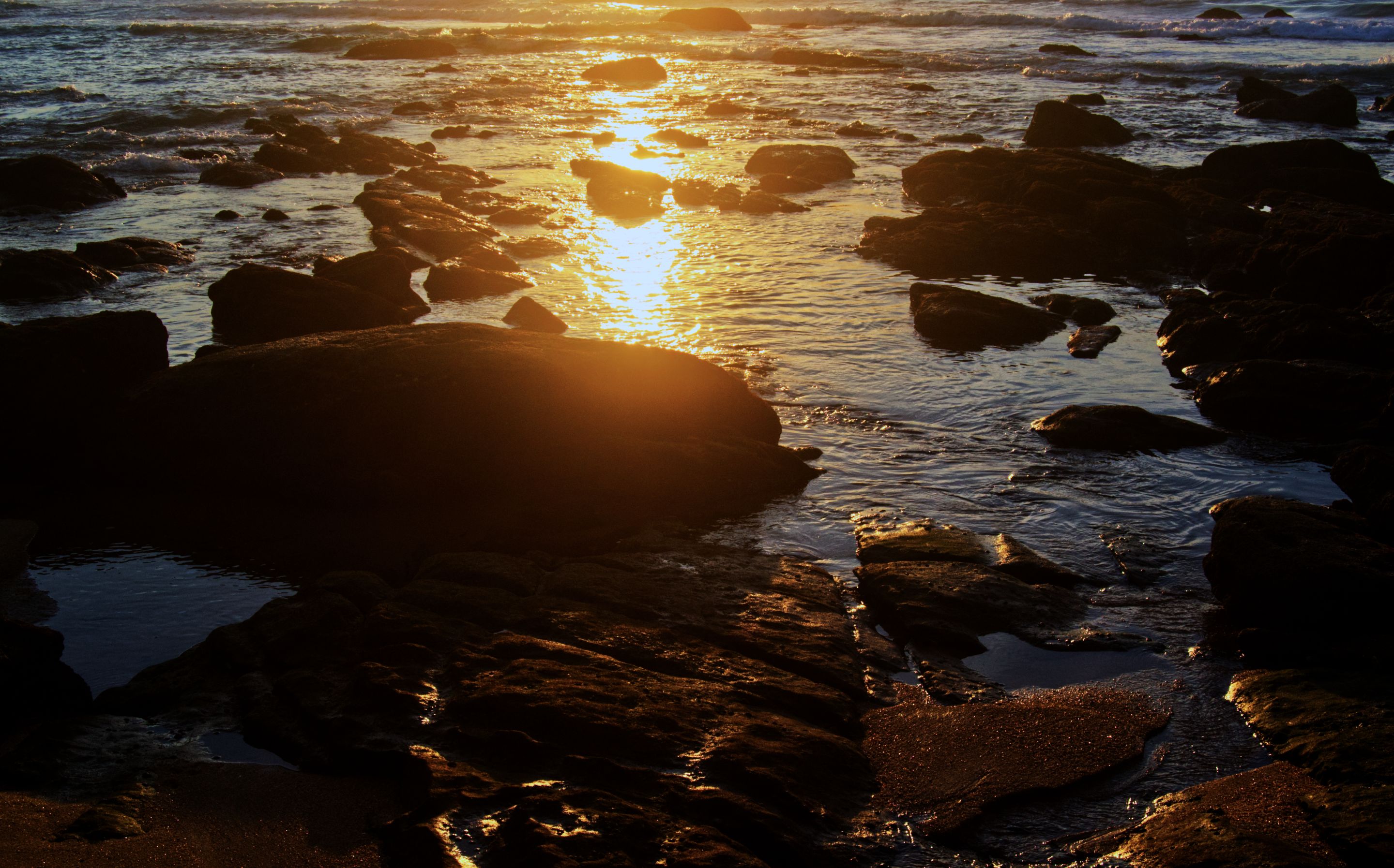 DSC_1887-1.jpg