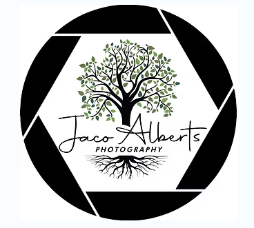 Business Logo.PNG
