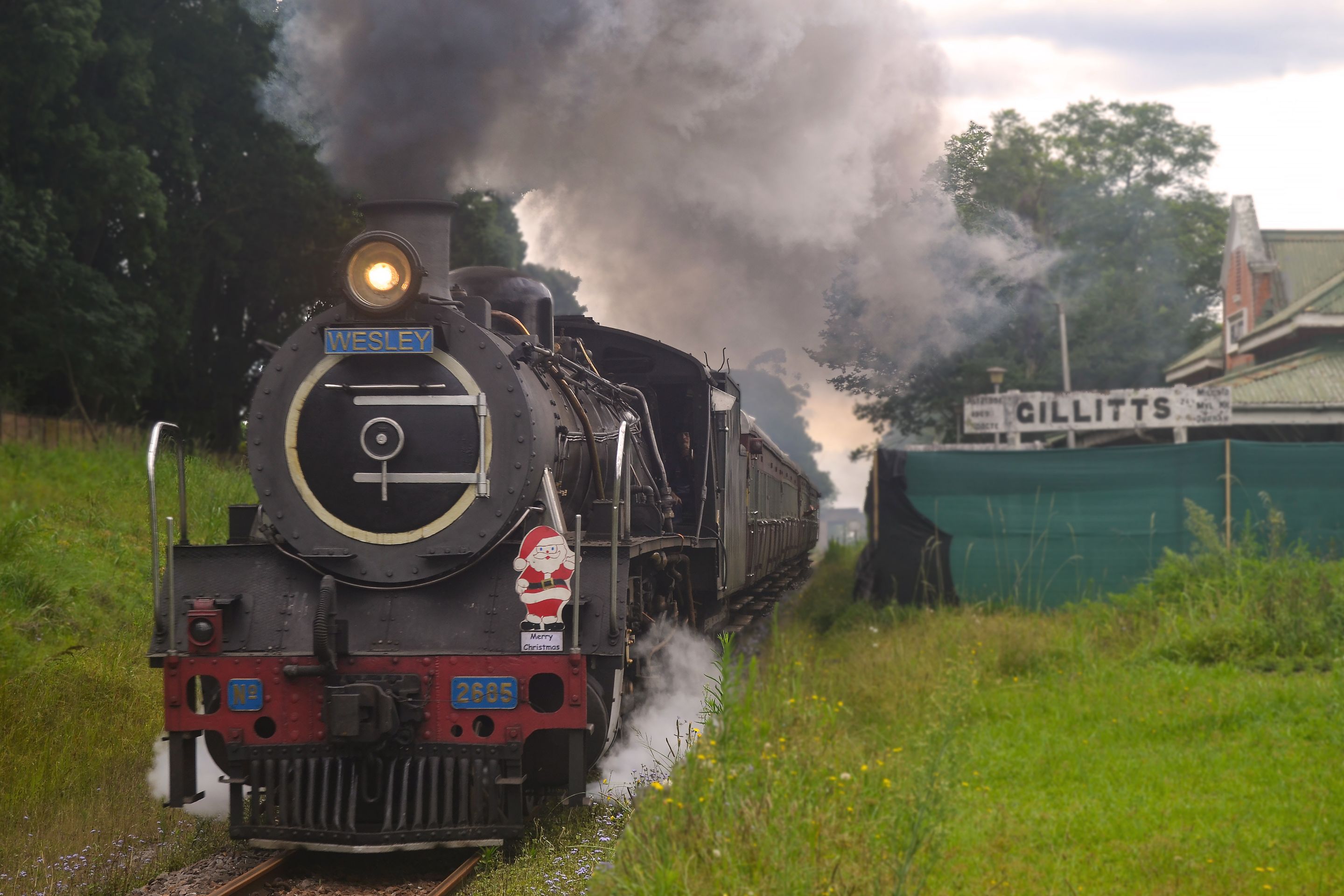 DSC_1156-2.jpg