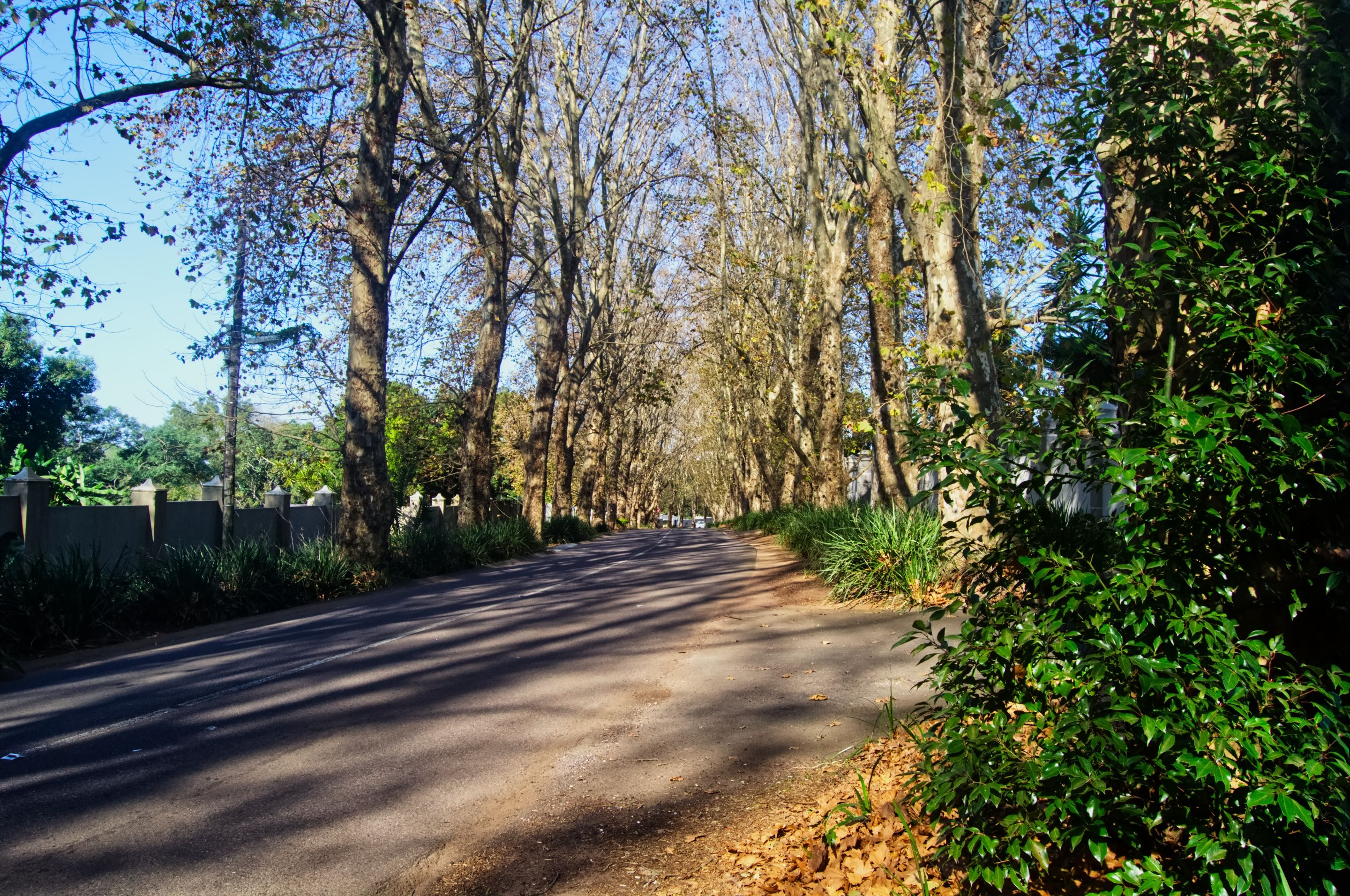 DSC_1646.jpg