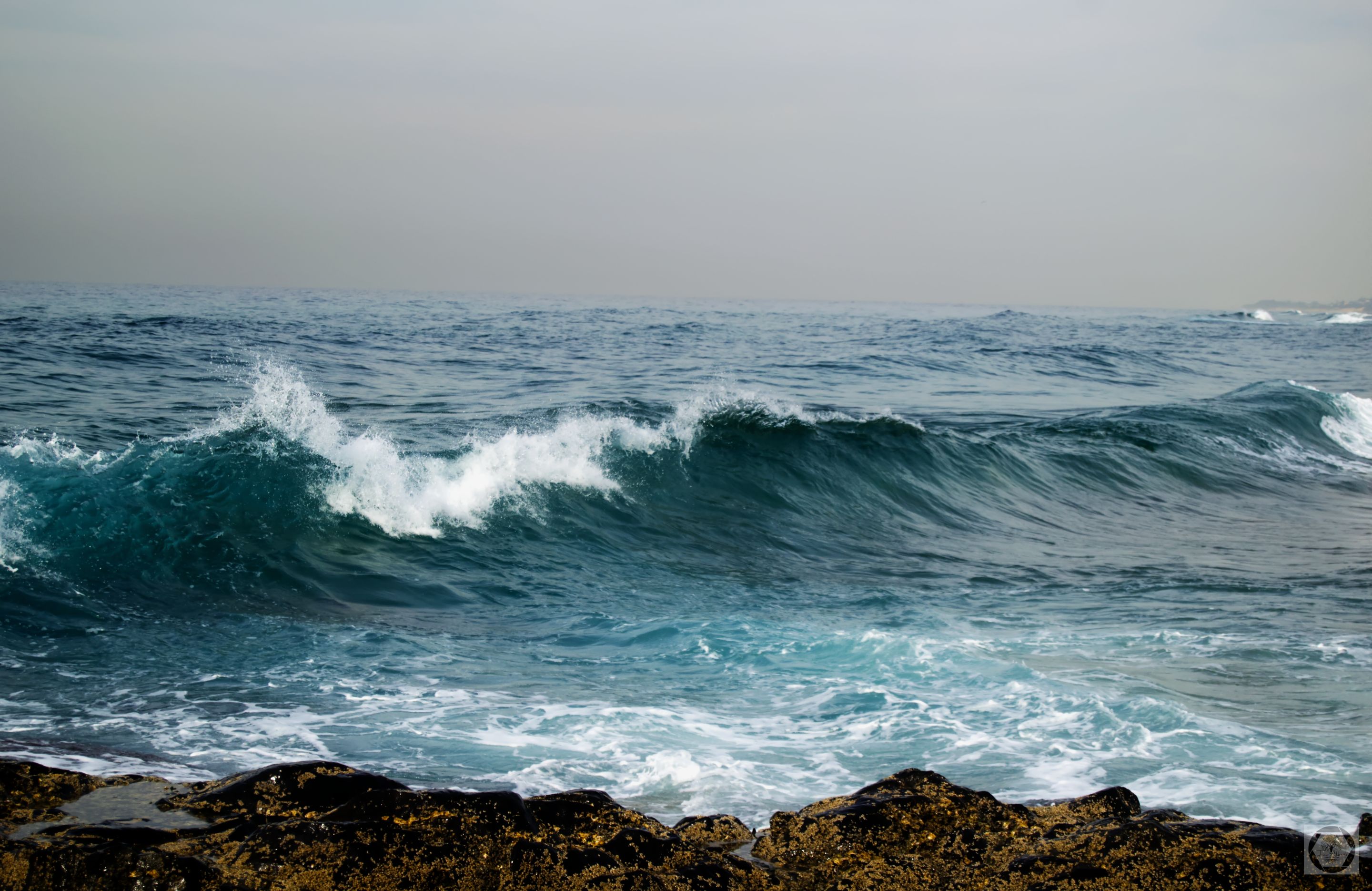 DSC_2563.jpg