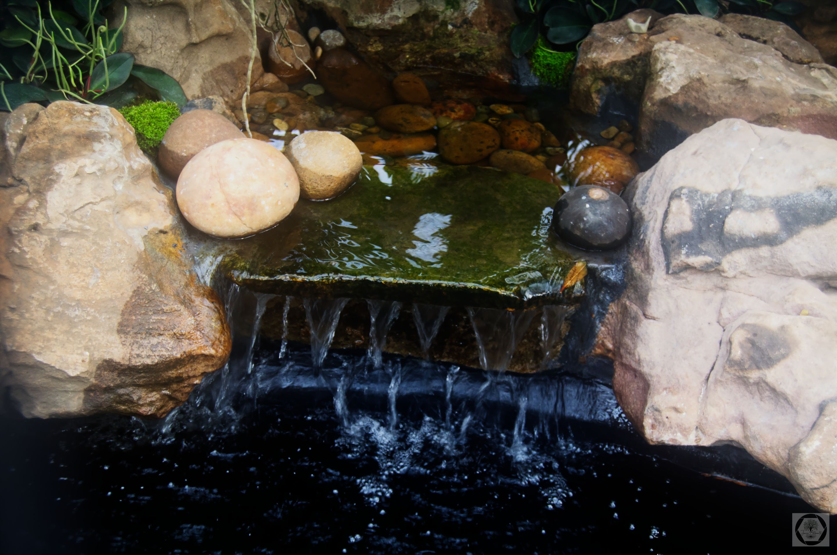 DSC_3096.jpg
