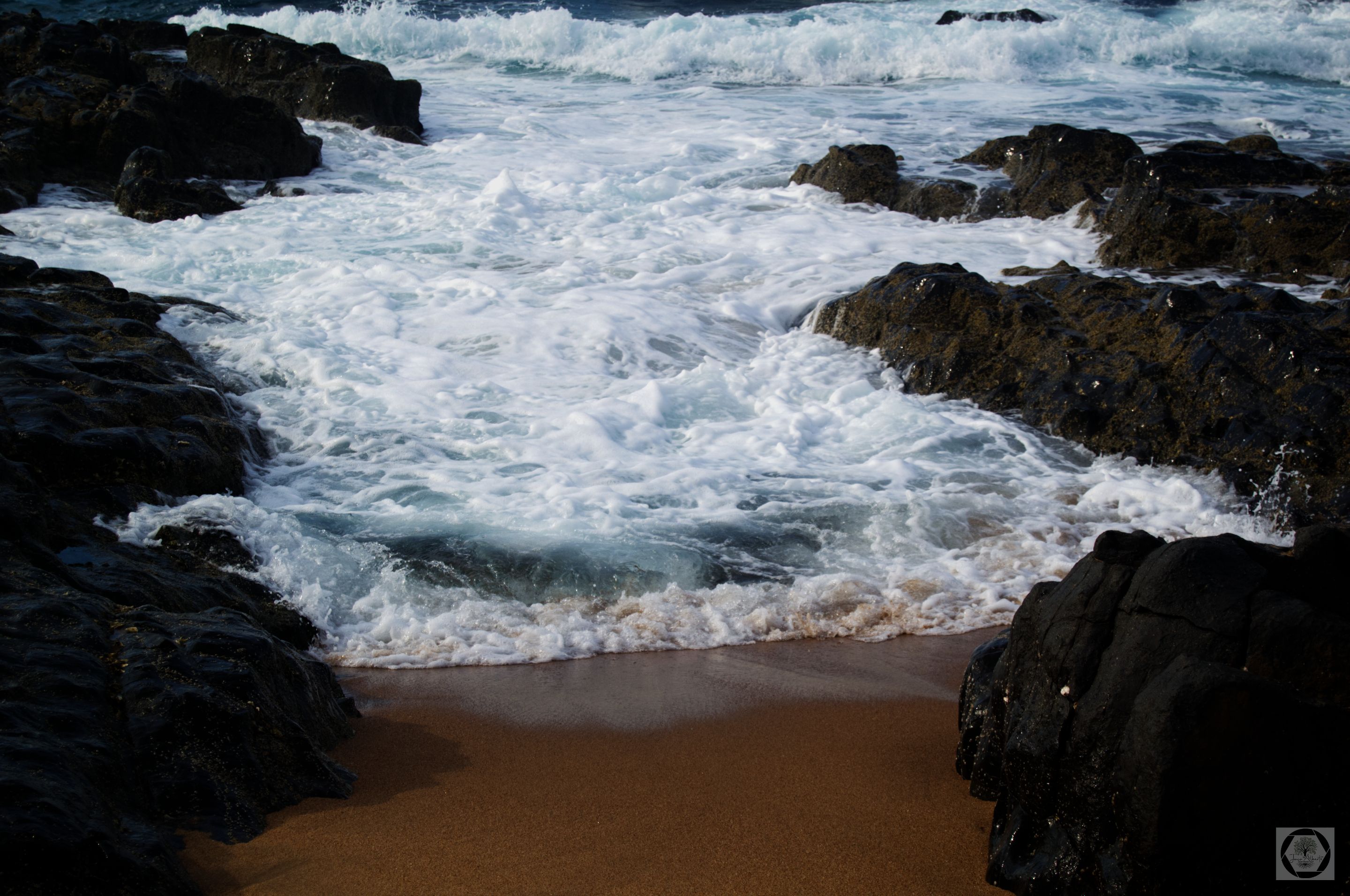 DSC_2426.jpg