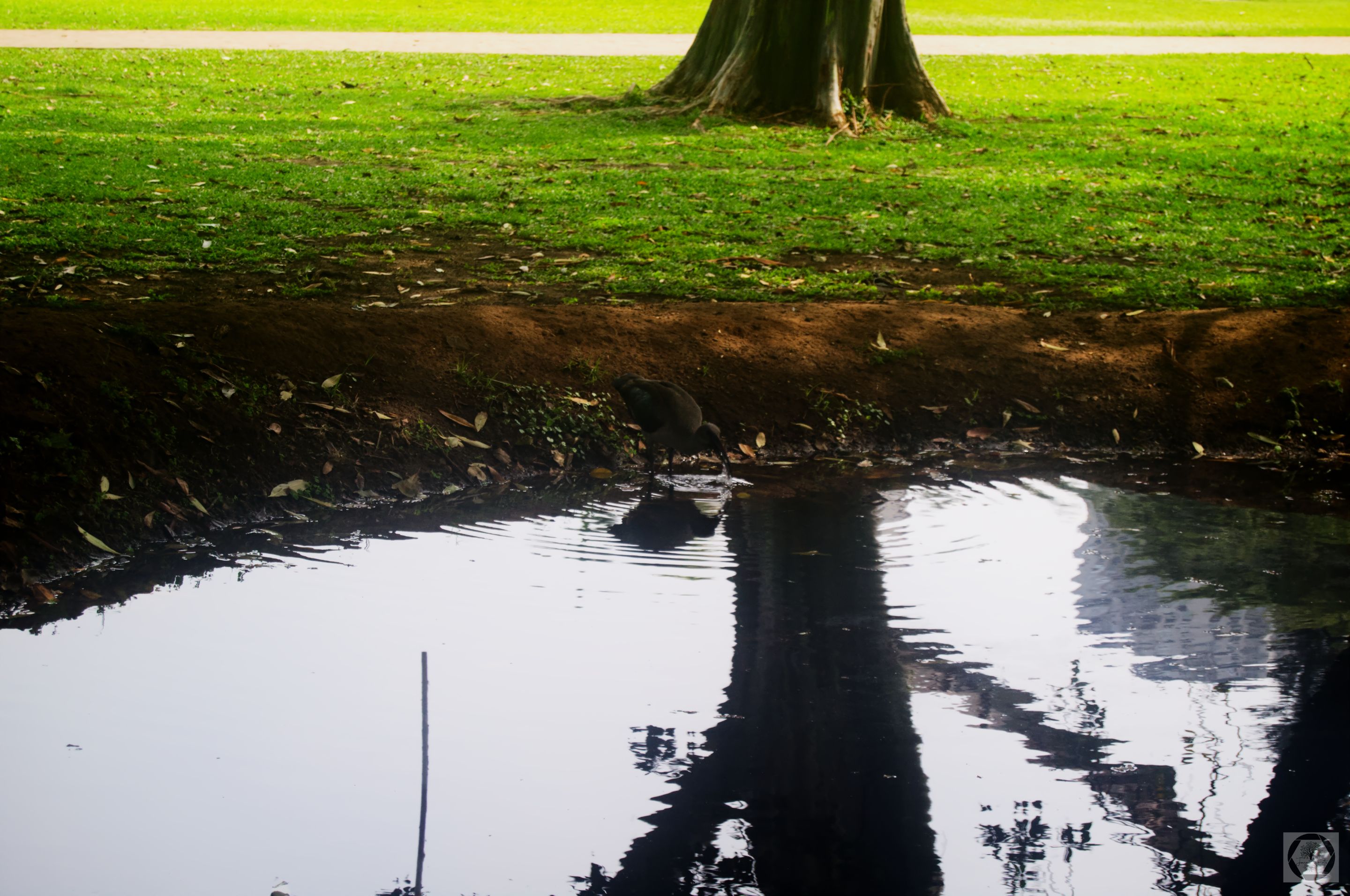 DSC_3038.jpg
