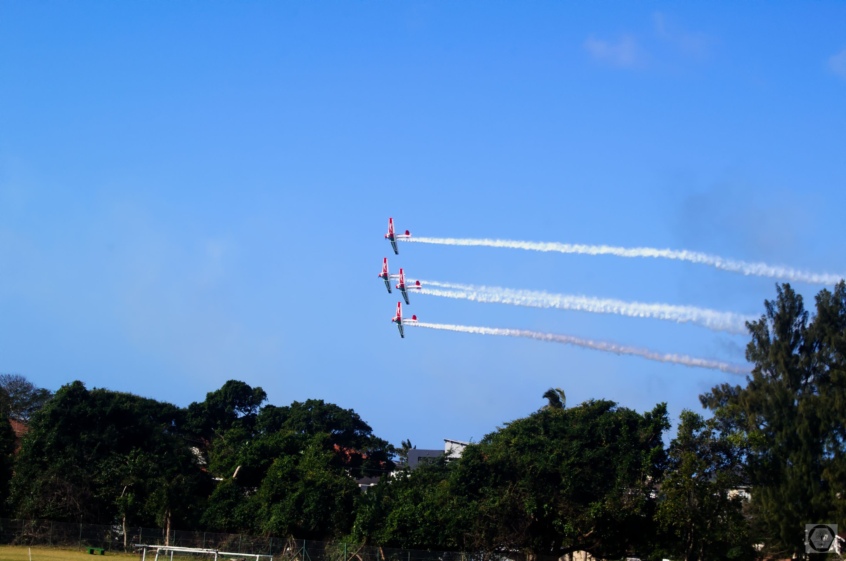 DSC_2989.jpg