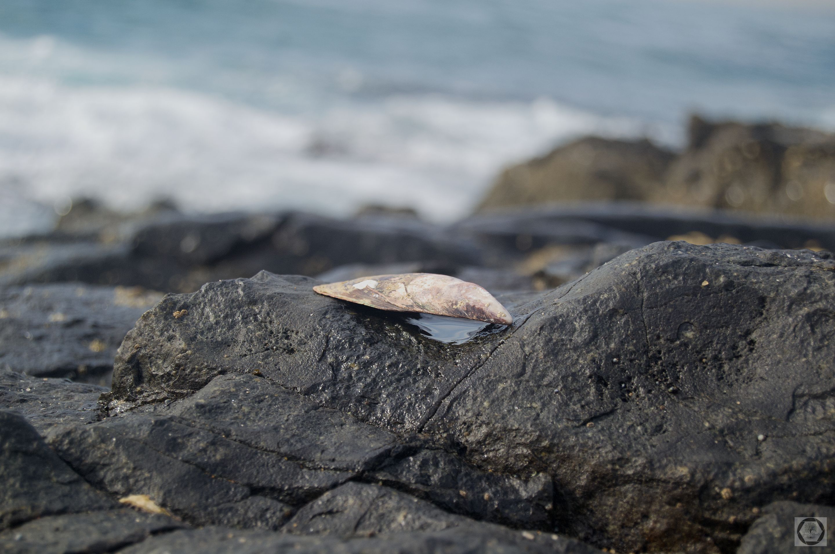 DSC_2545.jpg