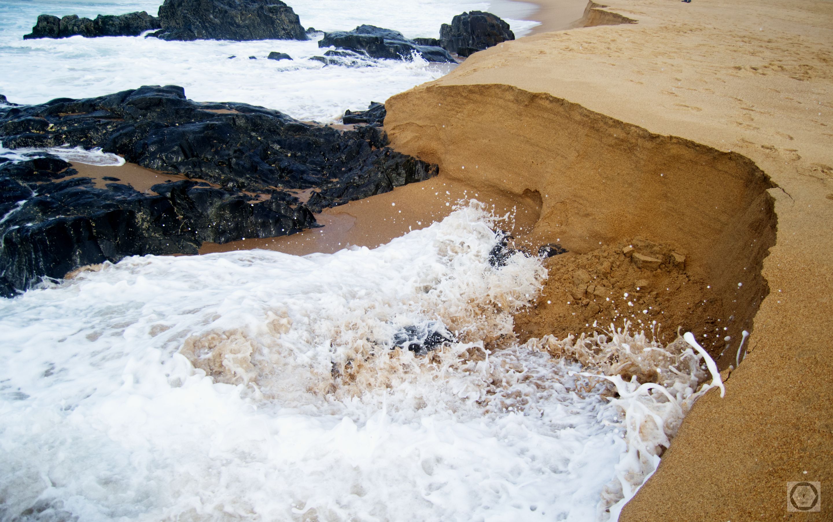 DSC_2445.jpg