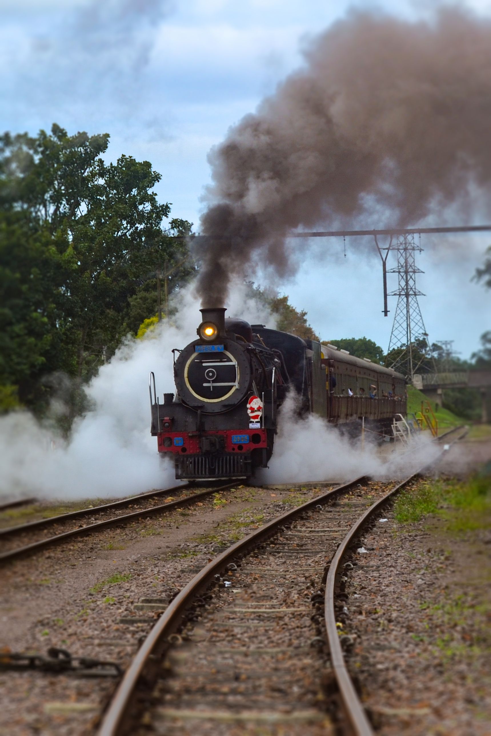 DSC_1231.jpg