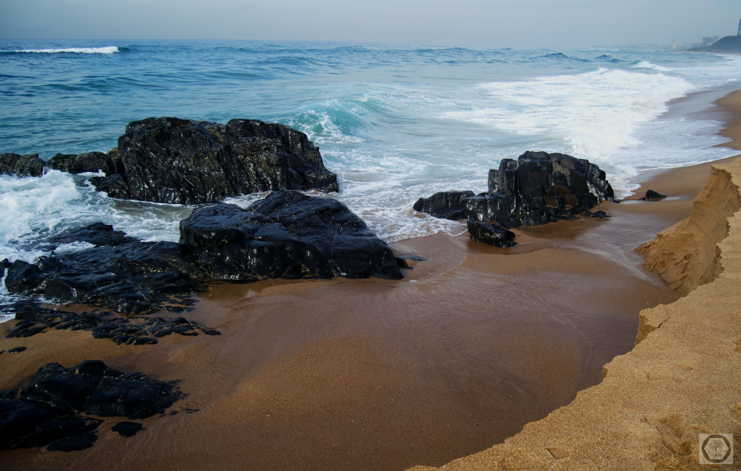 DSC_2458.jpg