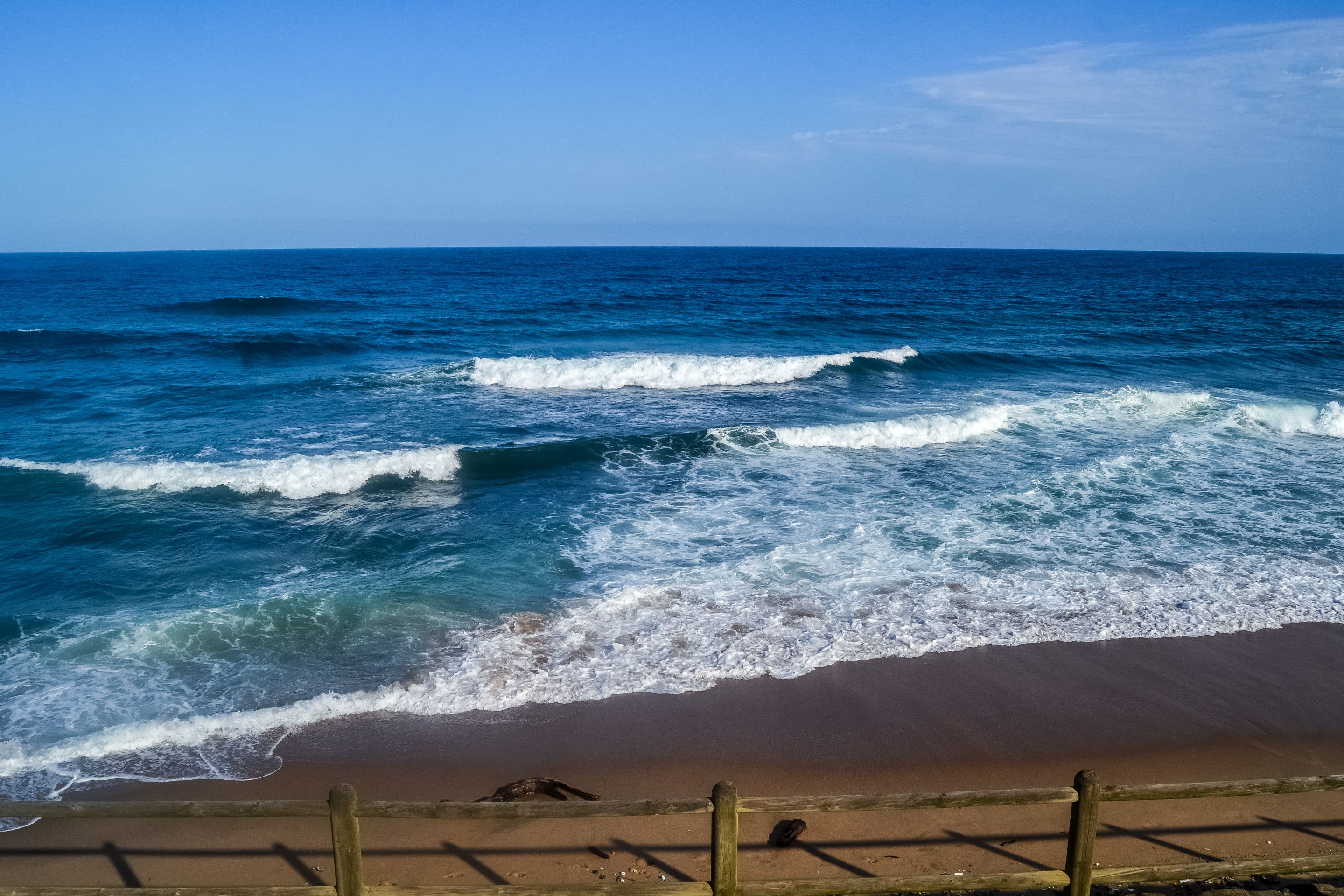 DSC_5603.jpg