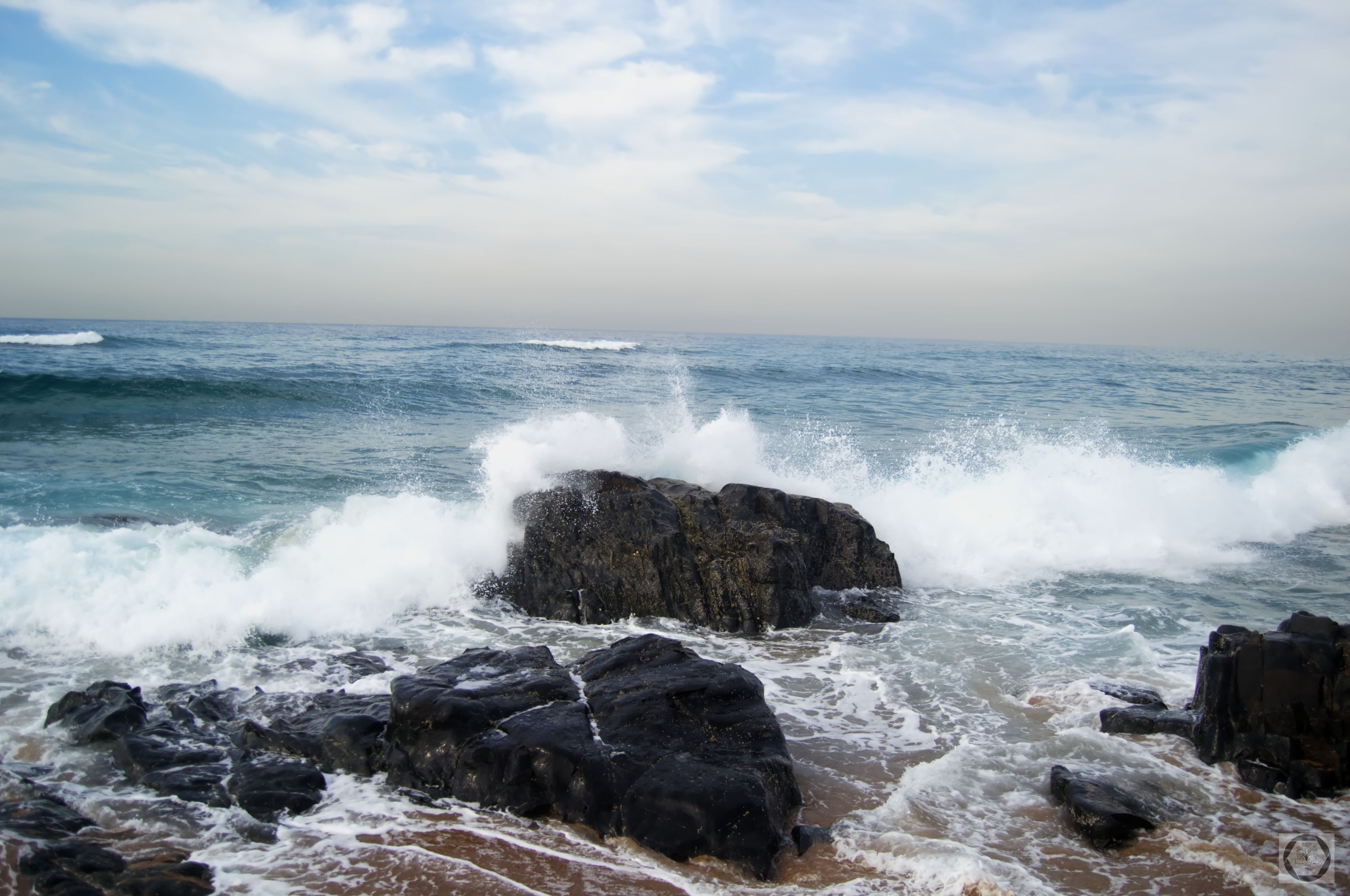 DSC_2497.jpg