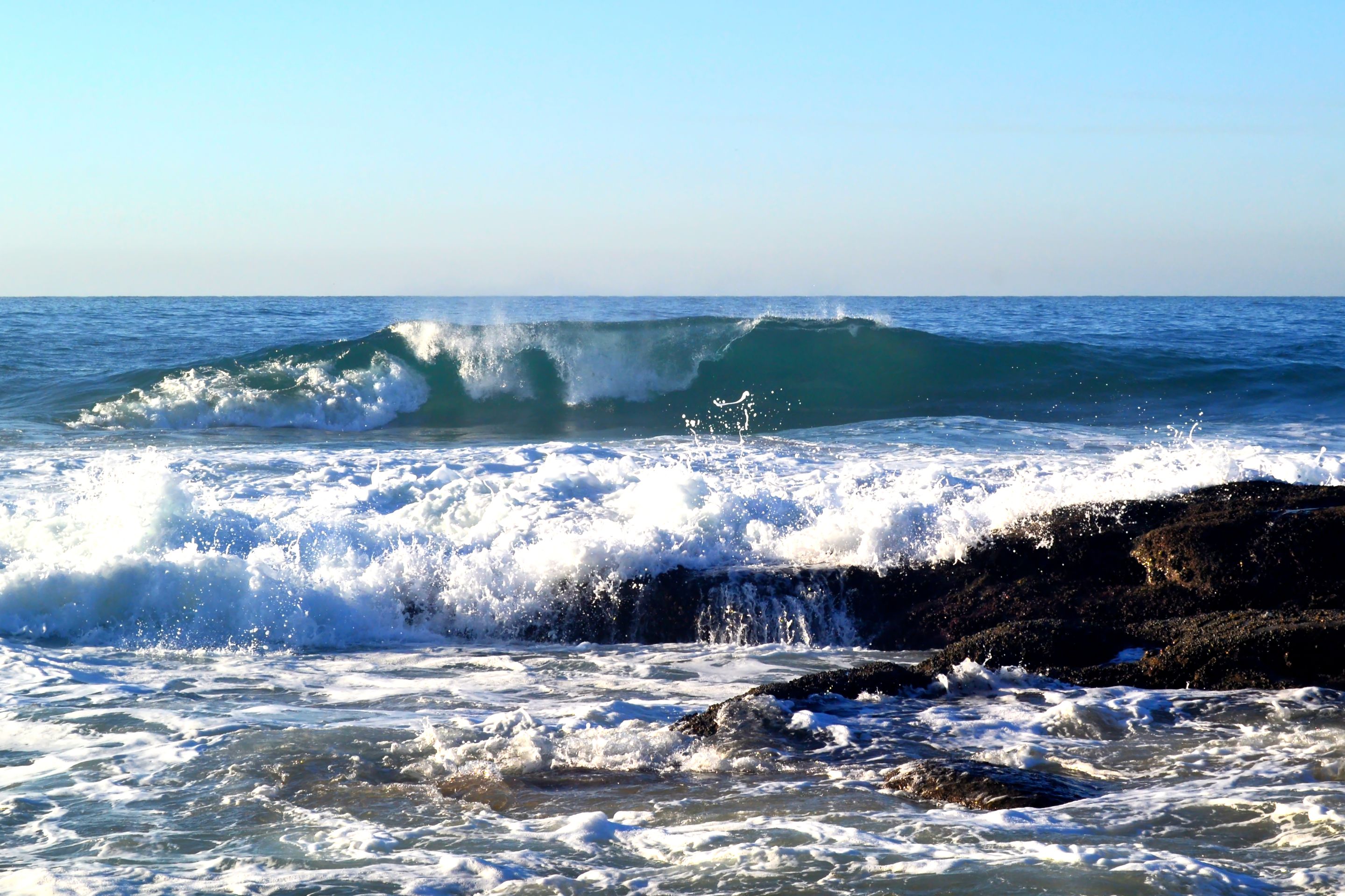 DSC_8058.jpg